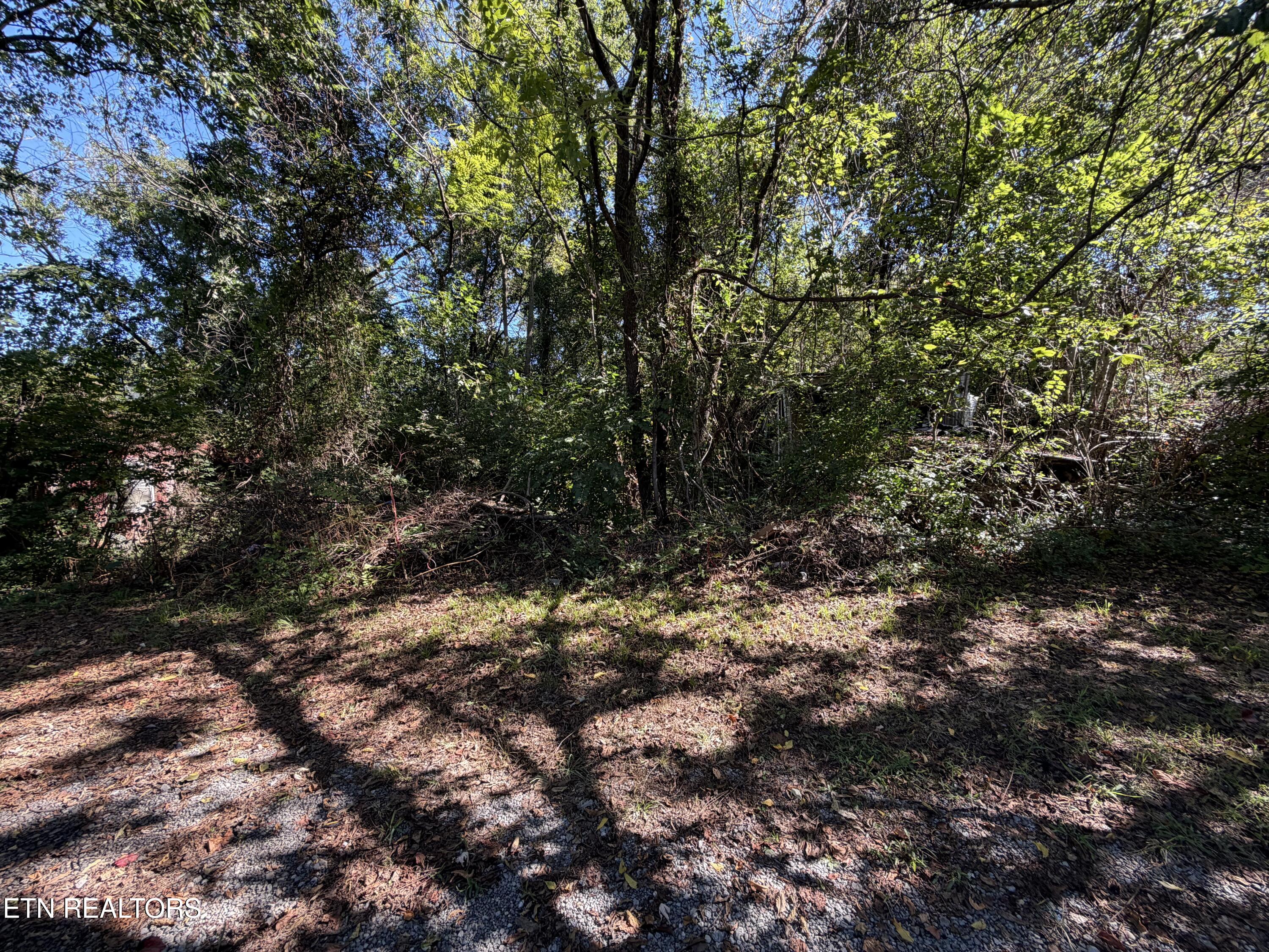 5204 Murphy Road Knoxville TN 37918