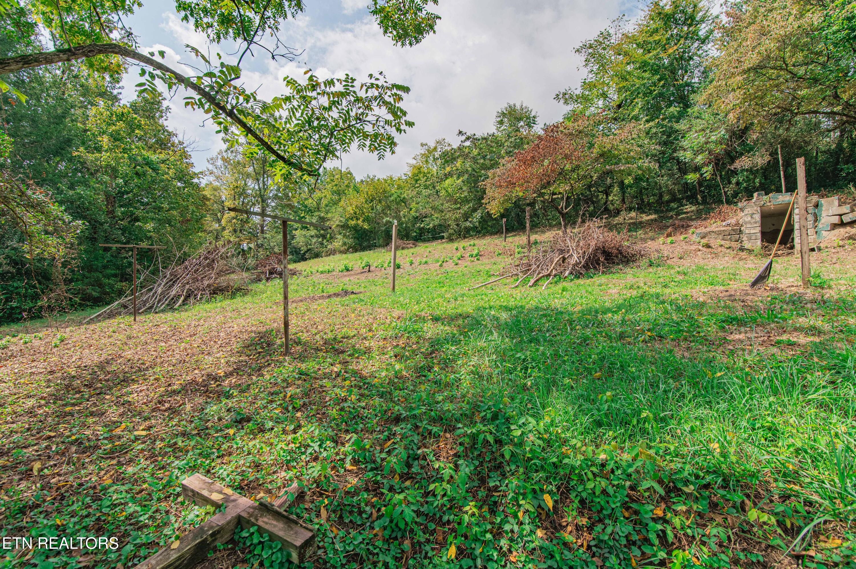 2700 Highway 116 Caryville TN 37714