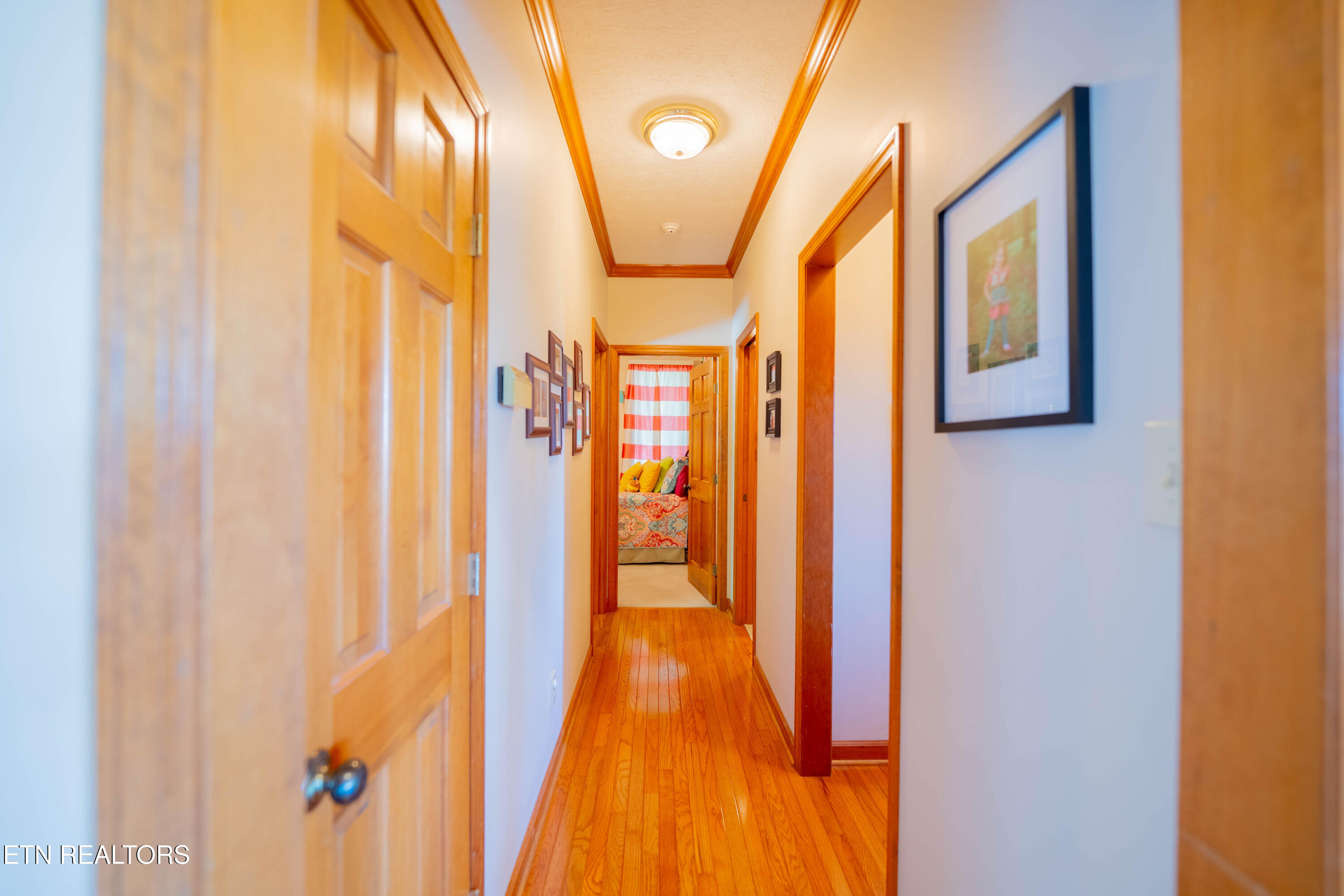 310 Teague Sevierville TN 37862