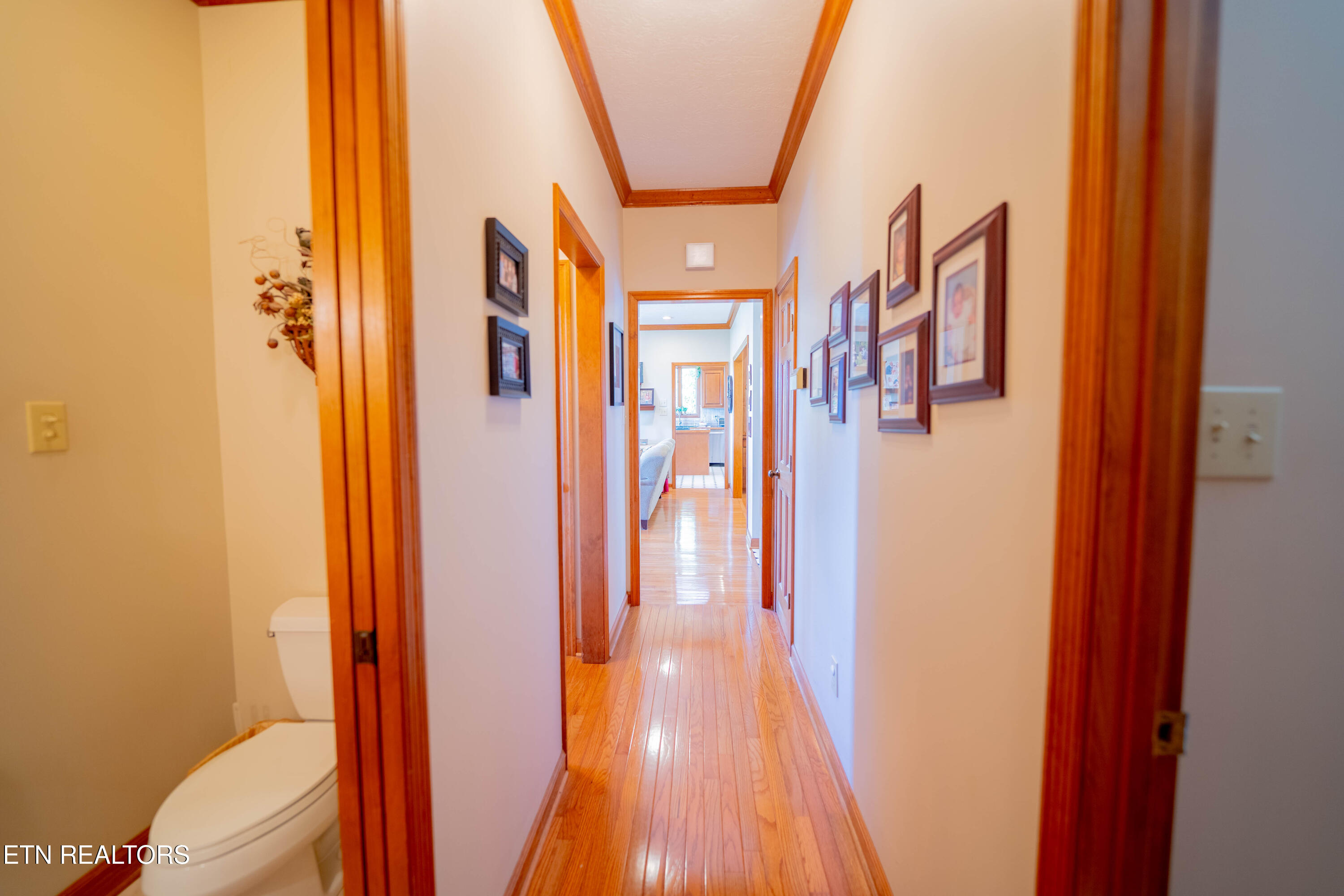 310 Teague Sevierville TN 37862