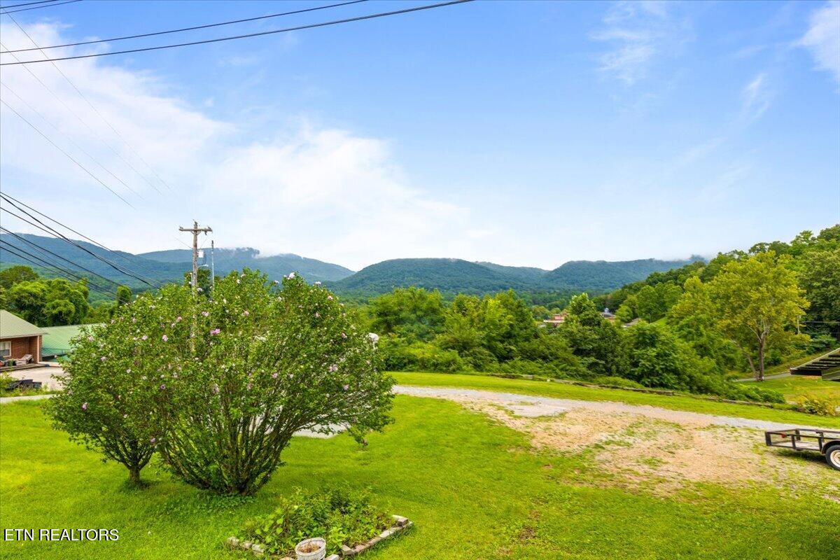 219 Patty Hill Road Caryville TN 37714