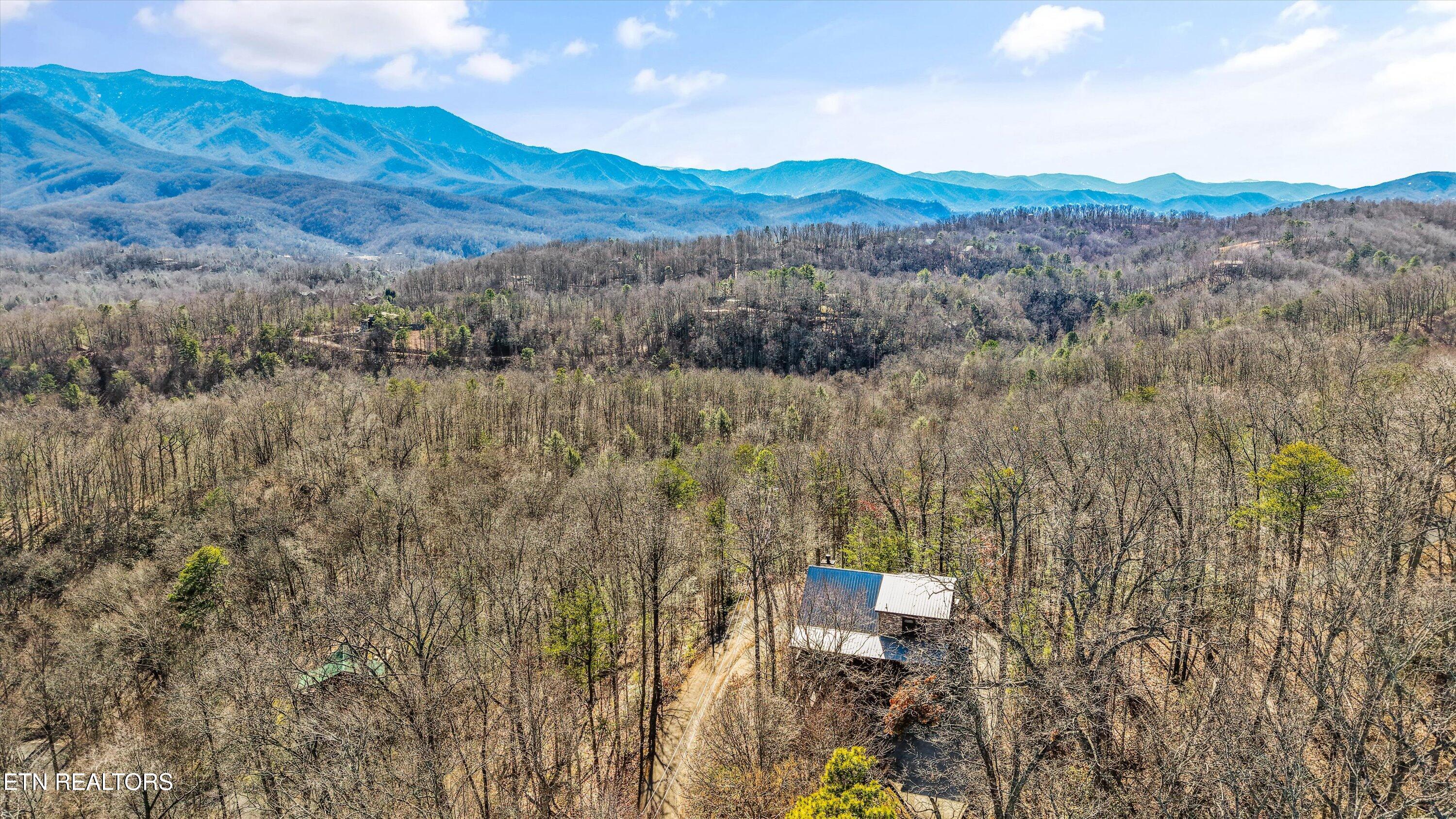1009 Vista Drive Gatlinburg TN 37738