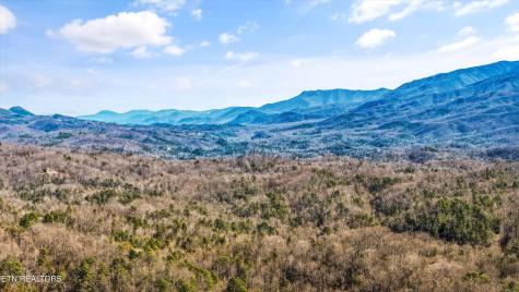 1009 Vista Drive Gatlinburg TN 37738