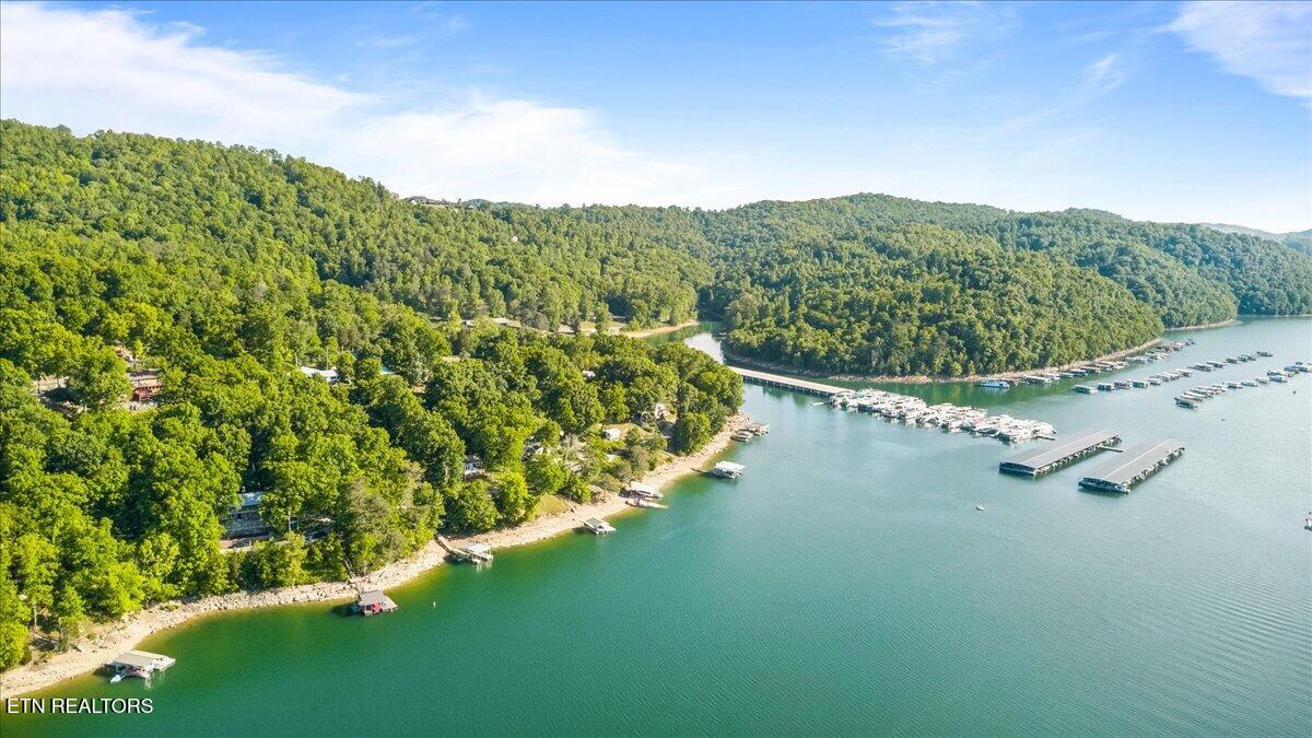 244 Lakeshore Drive Maynardville TN 37807