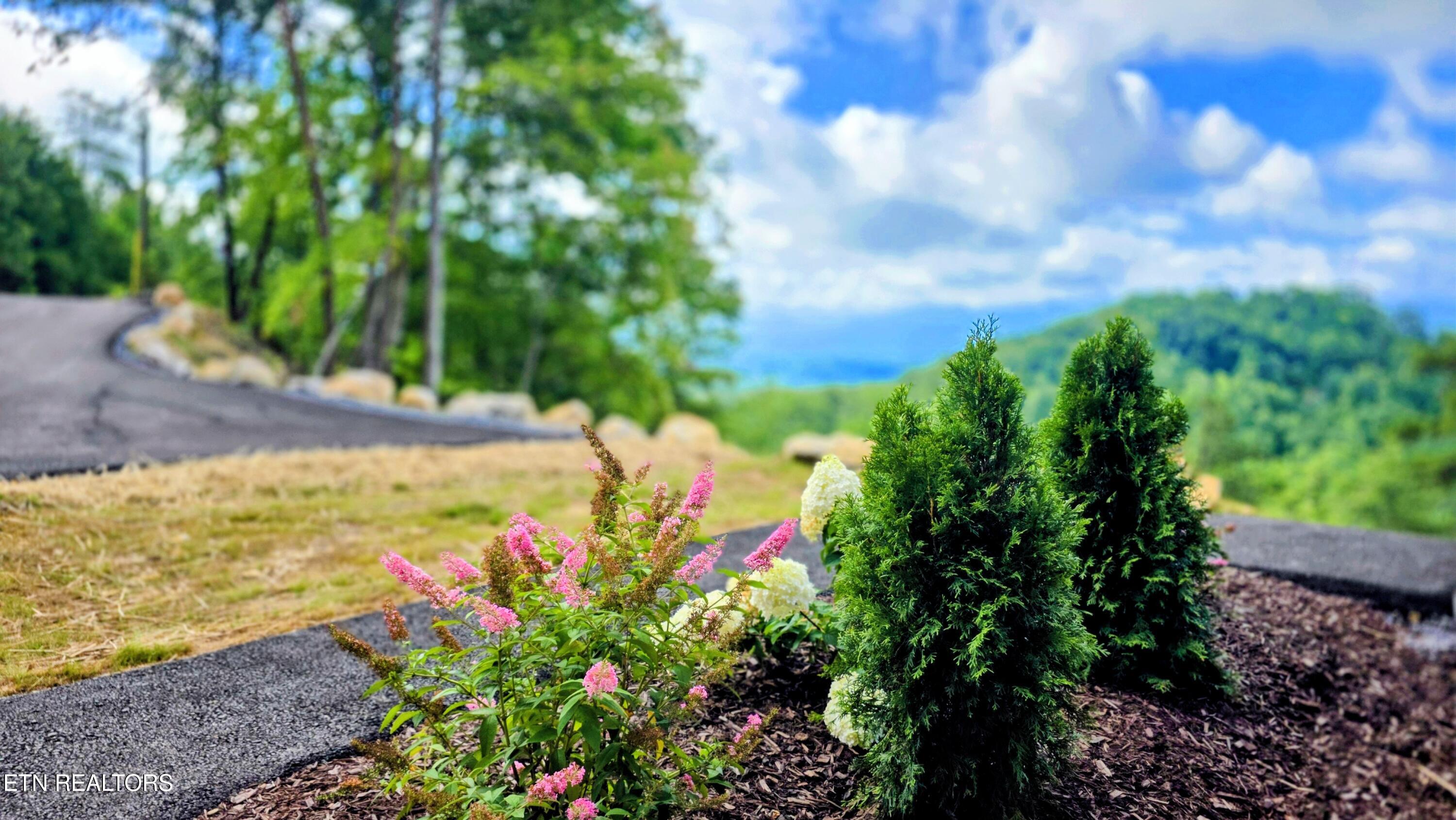 2608 Mountain Boulevard Sevierville TN 37876