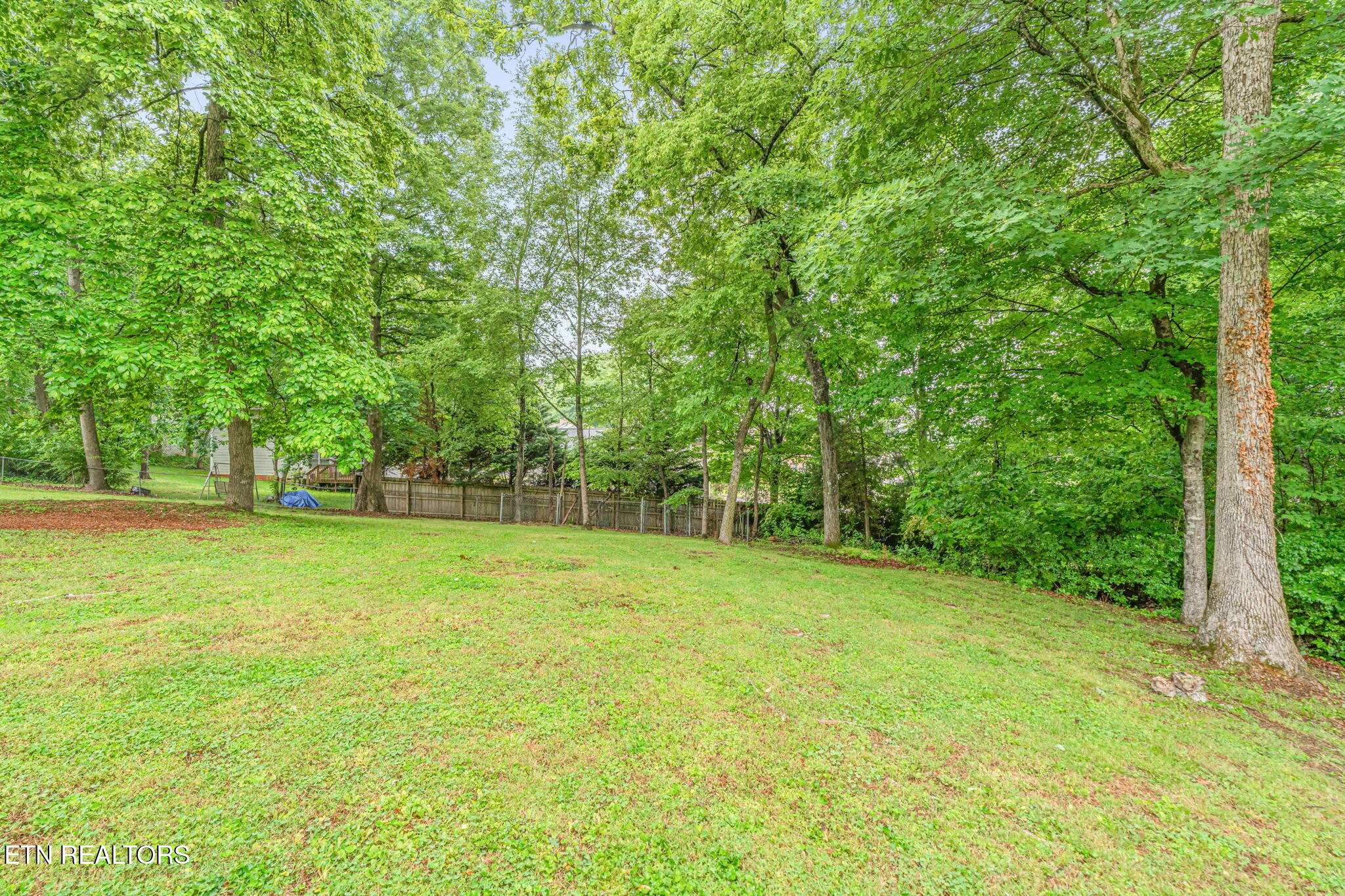 7921 Blueberry Road Powell TN 37849