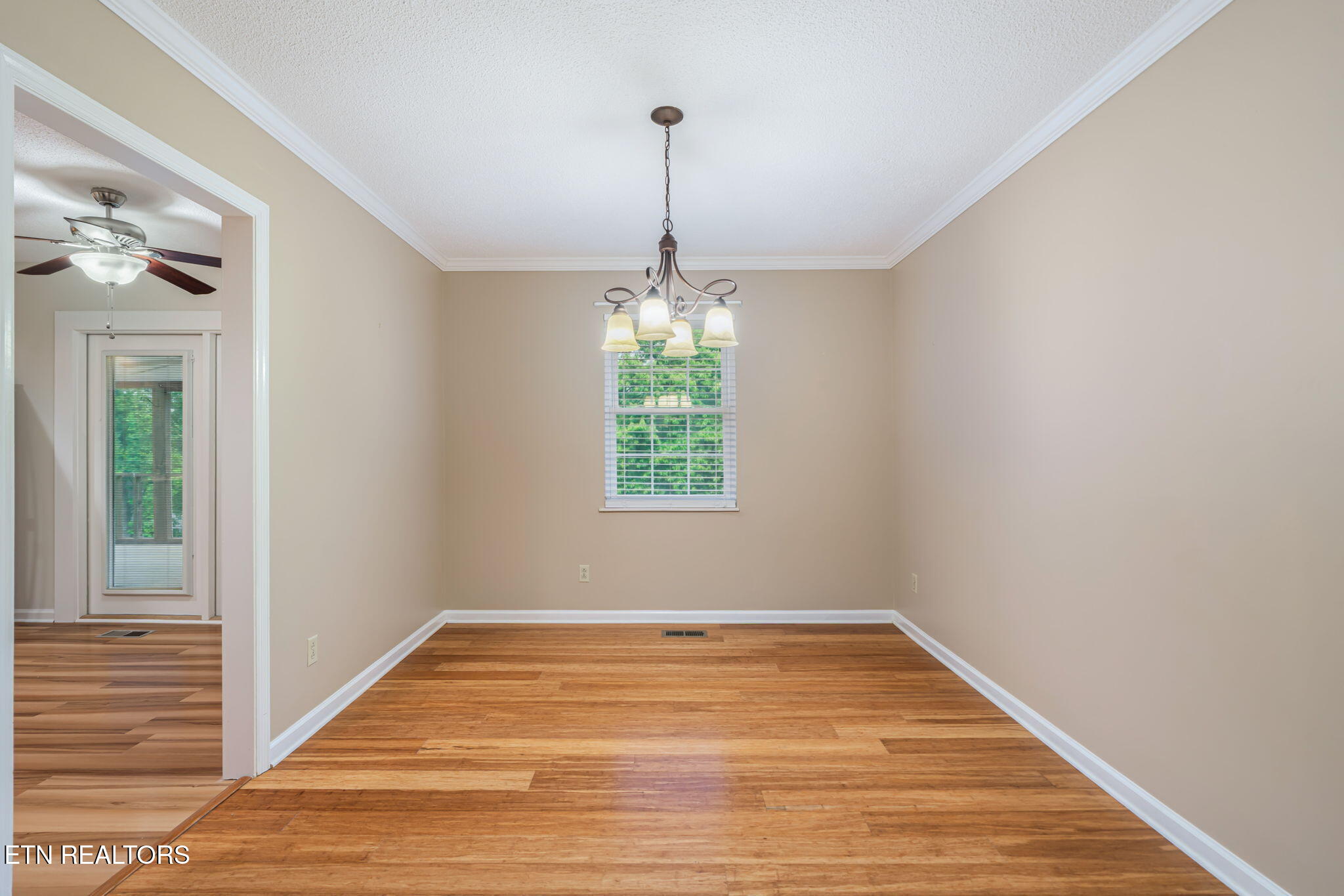 7921 Blueberry Road Powell TN 37849