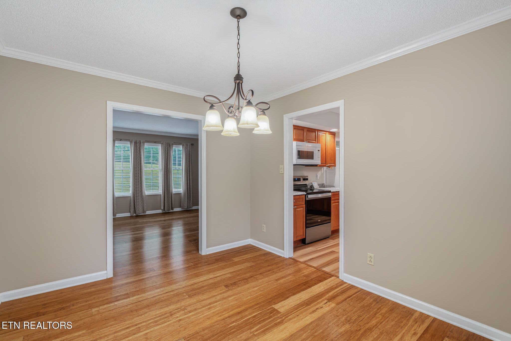 7921 Blueberry Road Powell TN 37849