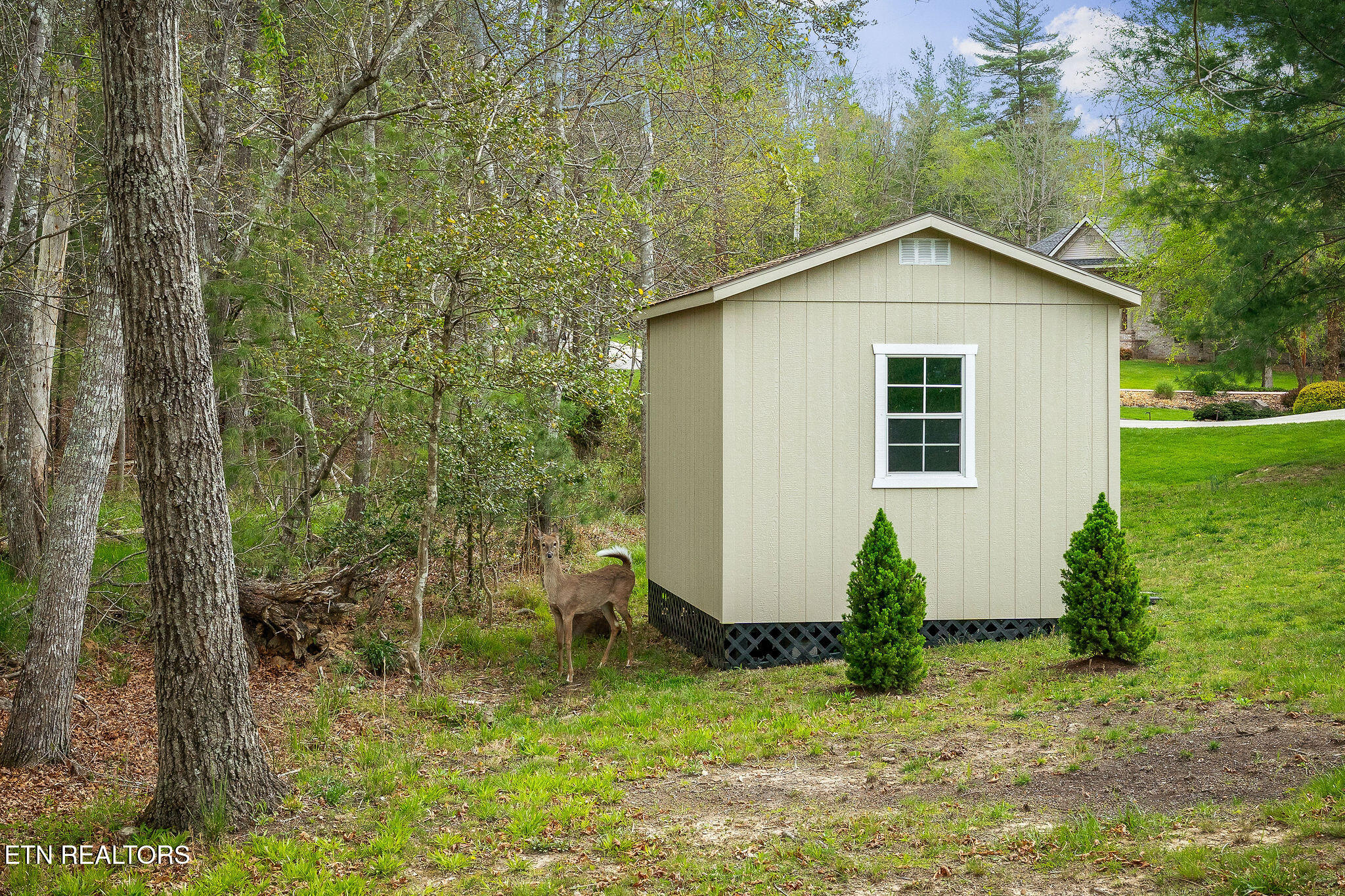 109 Leyden Drive Crossville TN 38558