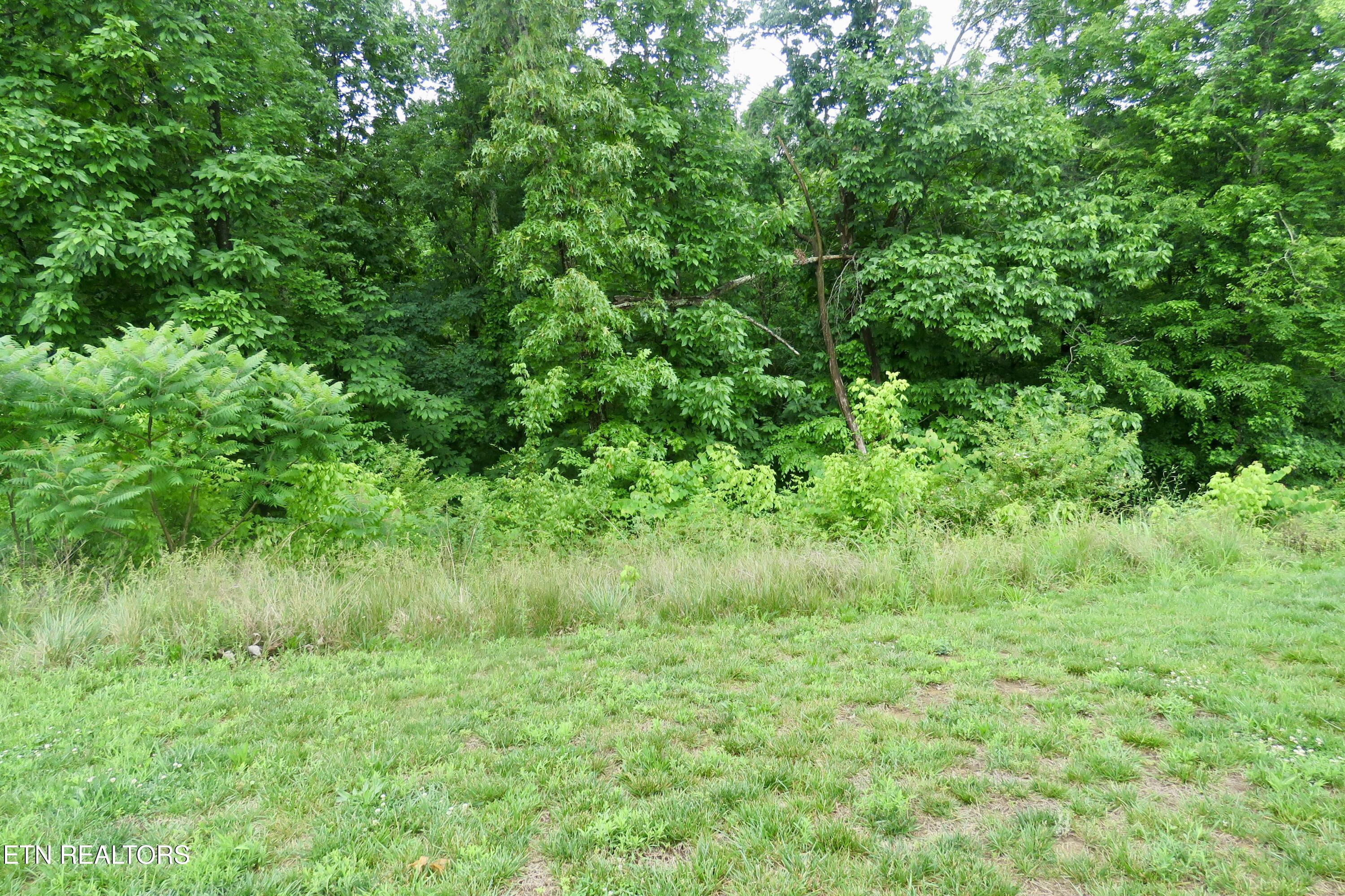 340 Hemlock Circle Cookeville TN 38501