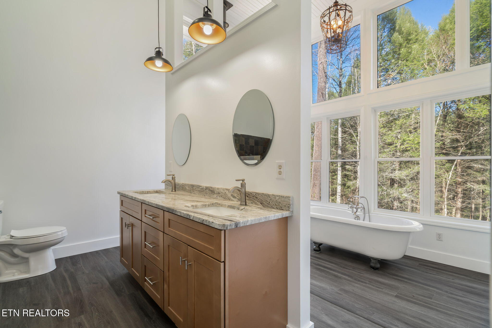 135 White Creek Court Deer Lodge TN 37726