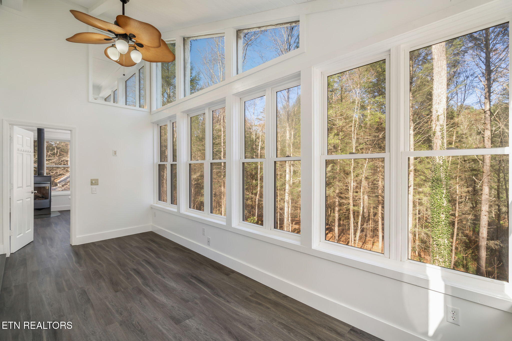 135 White Creek Court Deer Lodge TN 37726