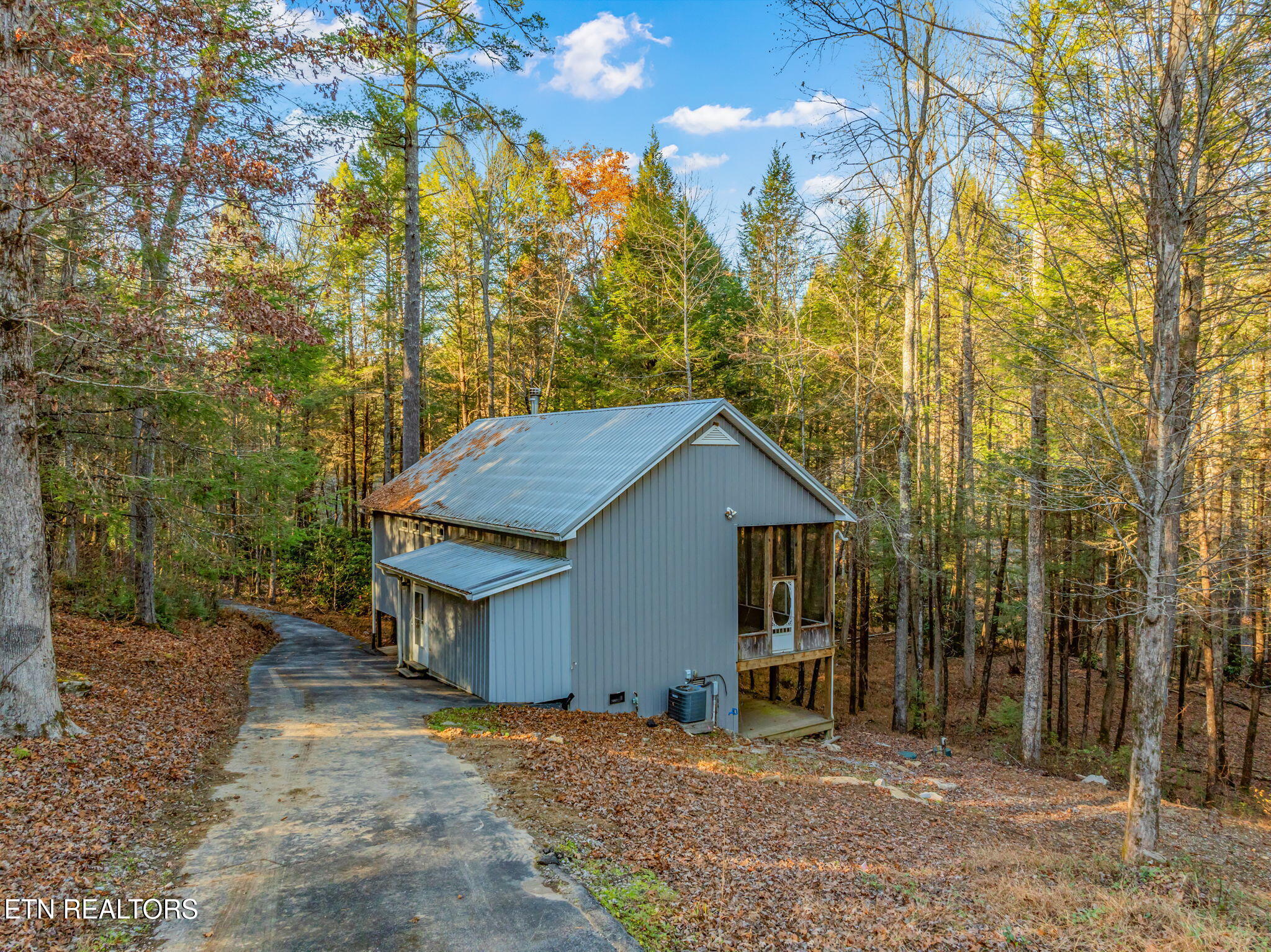 135 White Creek Court Deer Lodge TN 37726