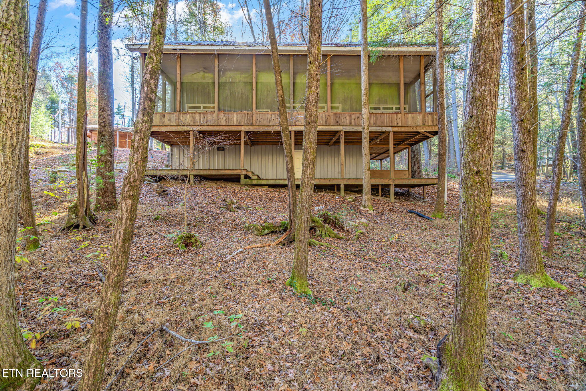 135 White Creek Court Deer Lodge TN 37726