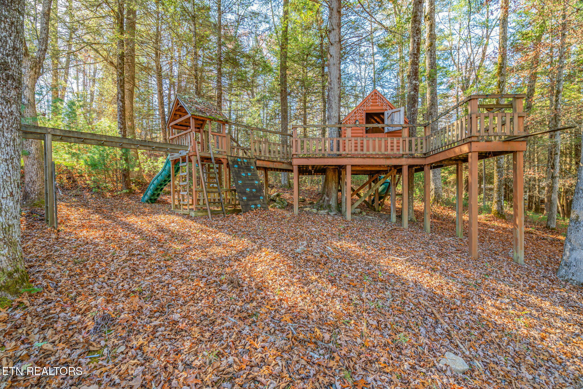 135 White Creek Court Deer Lodge TN 37726