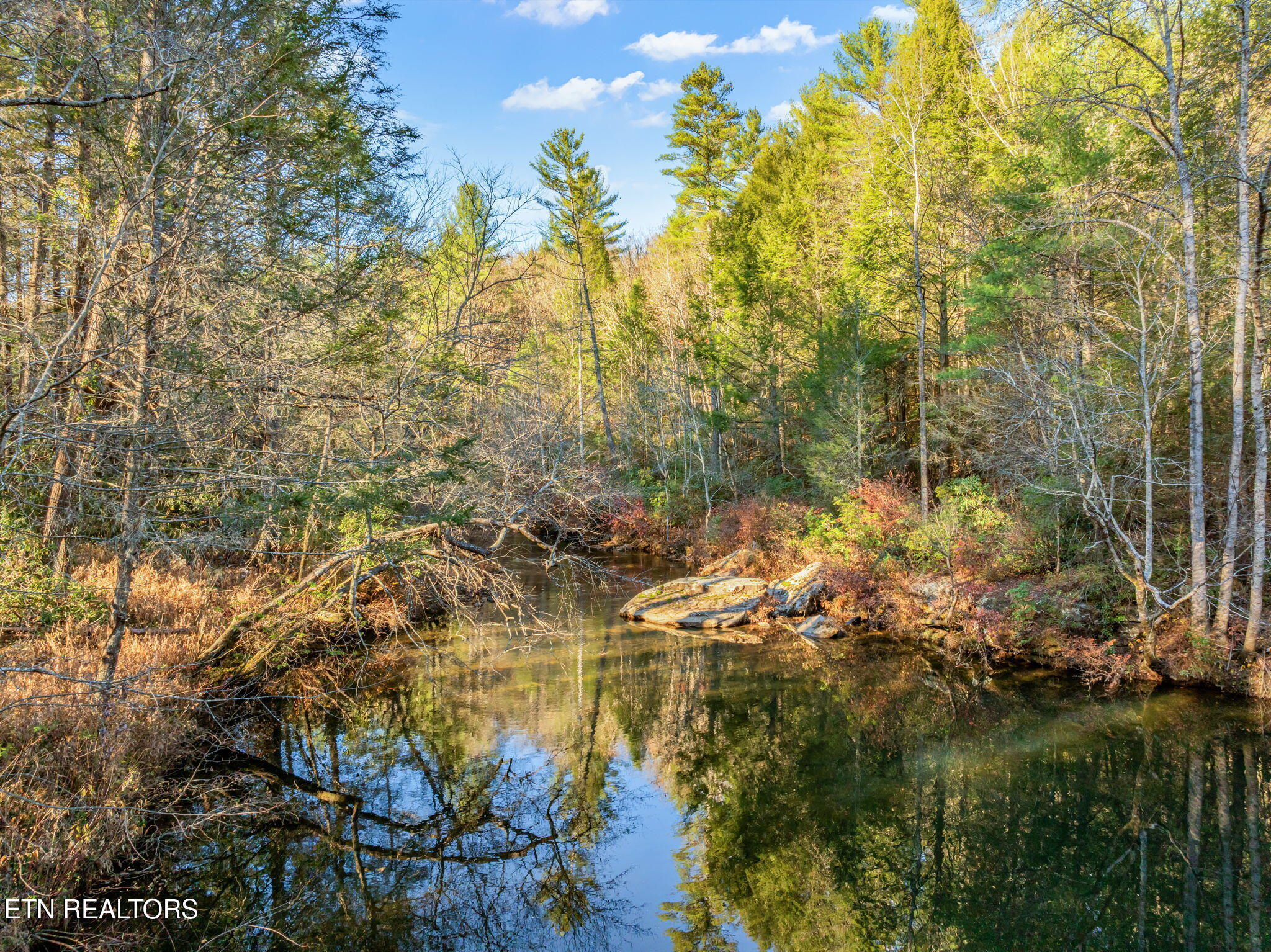 135 White Creek Court Deer Lodge TN 37726