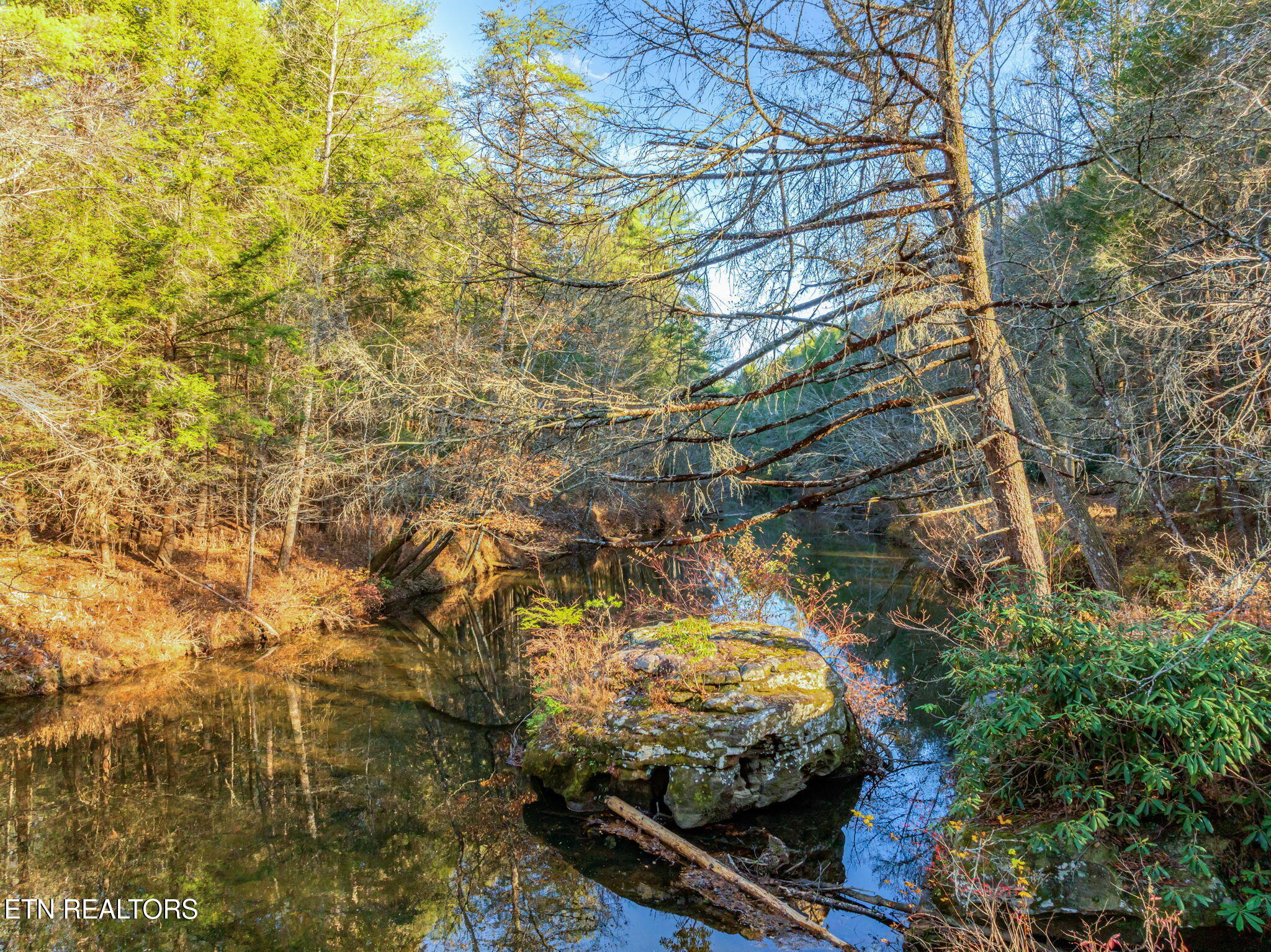 135 White Creek Court Deer Lodge TN 37726