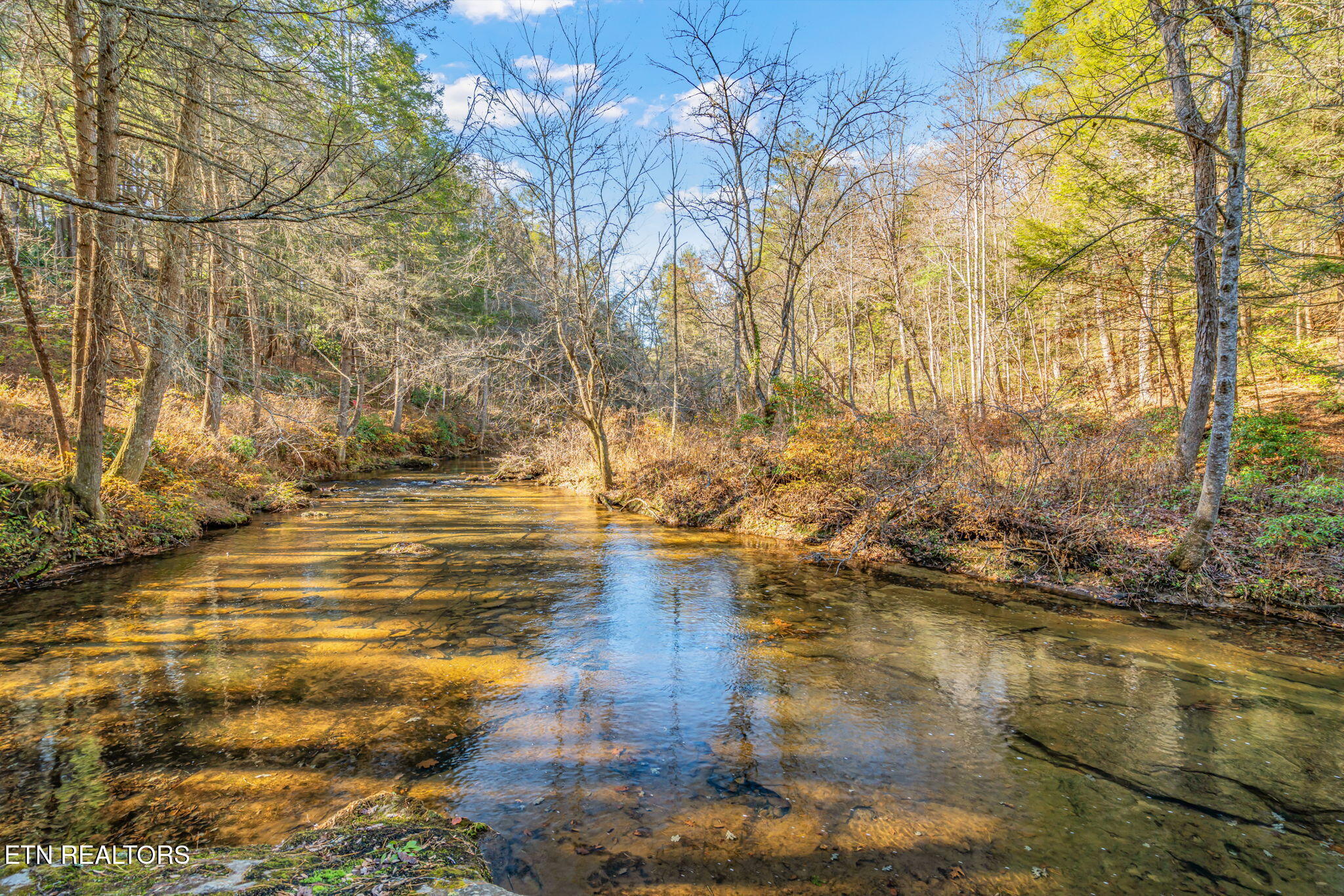 135 White Creek Court Deer Lodge TN 37726