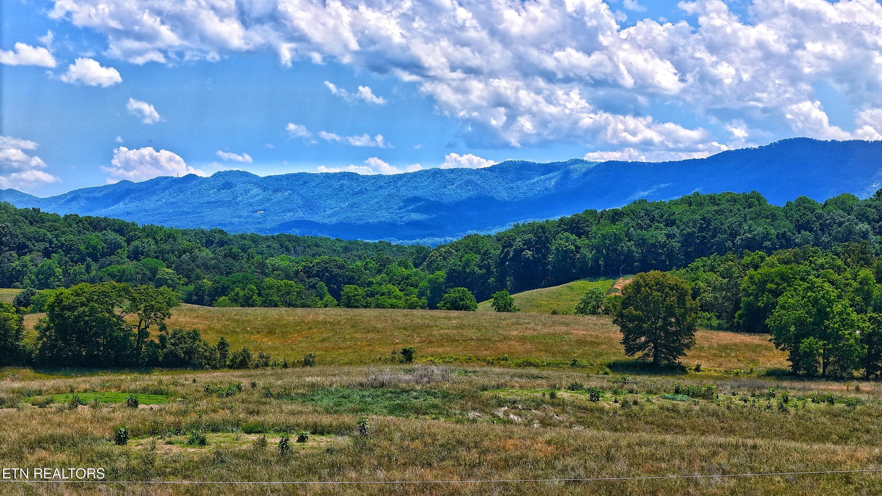 251 Cloud Way Parrottsville TN 37843