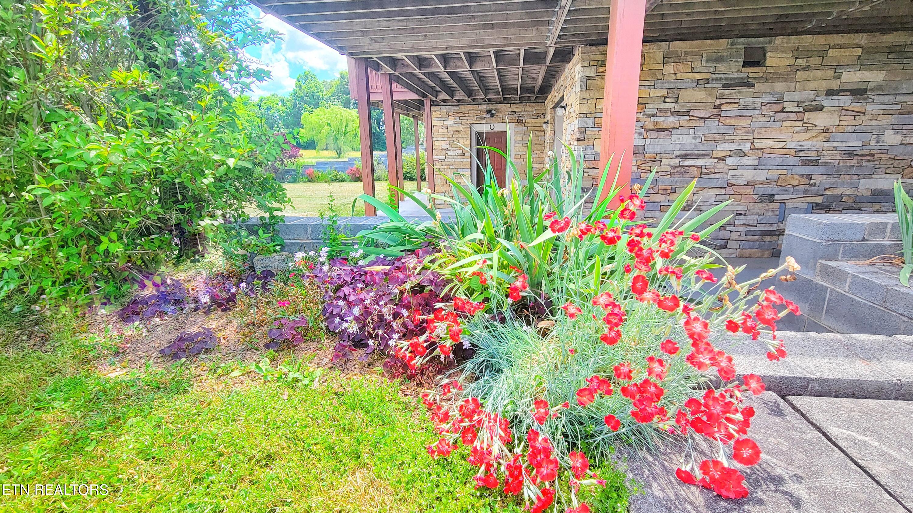 251 Cloud Way Parrottsville TN 37843