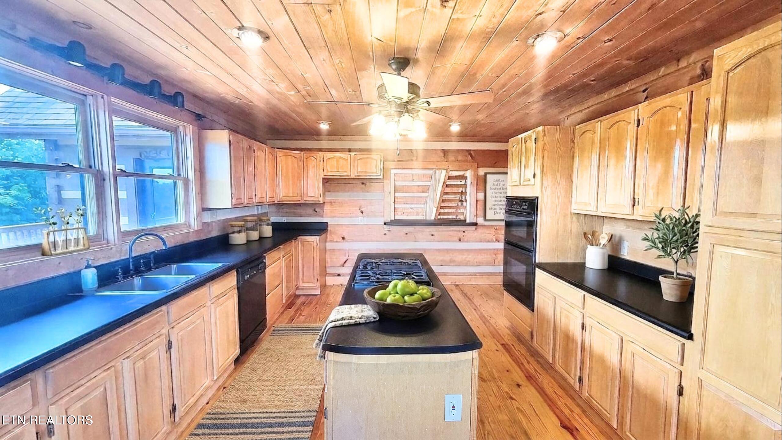 251 Cloud Way Parrottsville TN 37843
