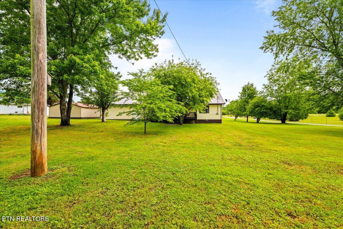 120 Oscar Lane Speedwell TN 37870