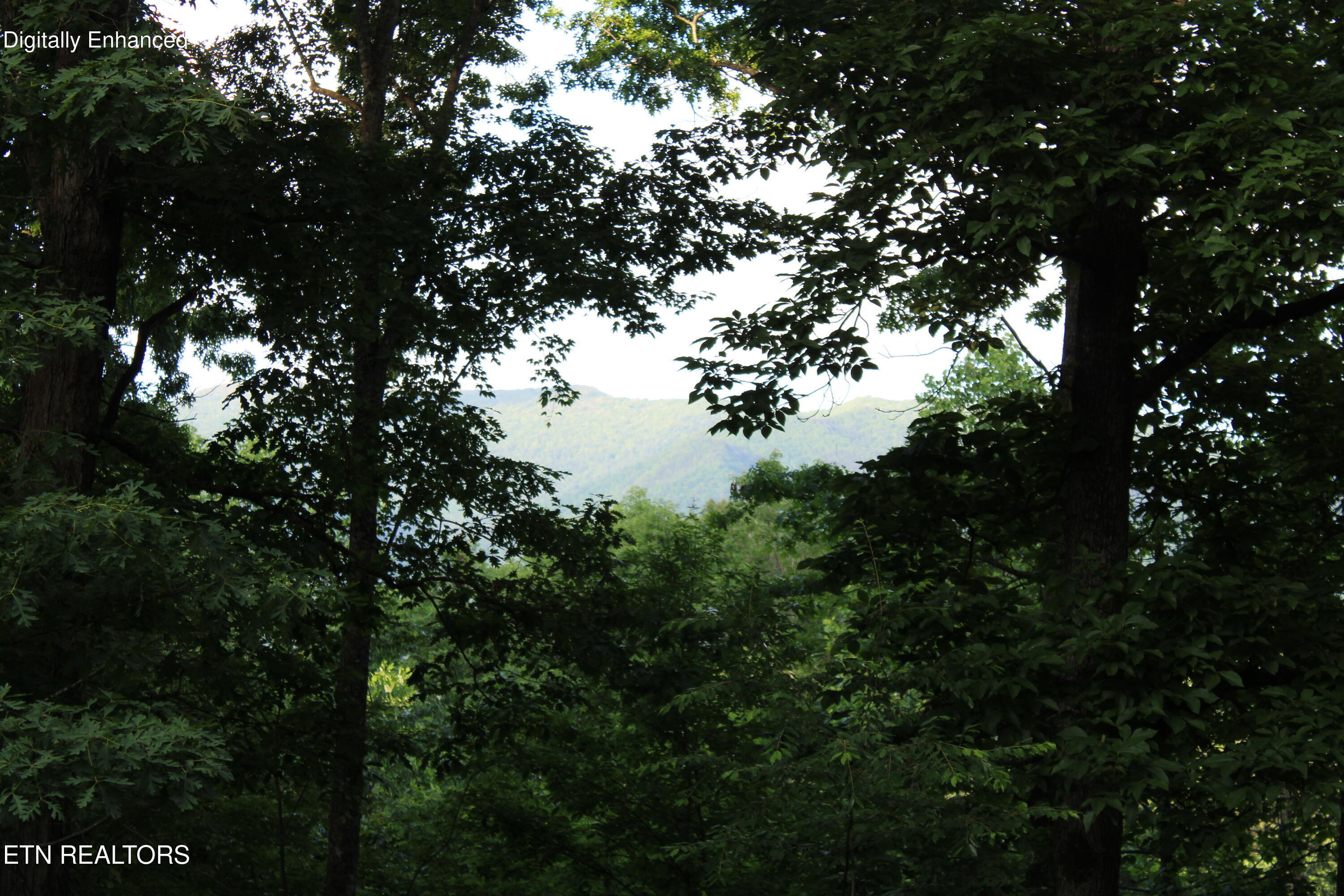 271 Majestic View Way Cosby TN 37722