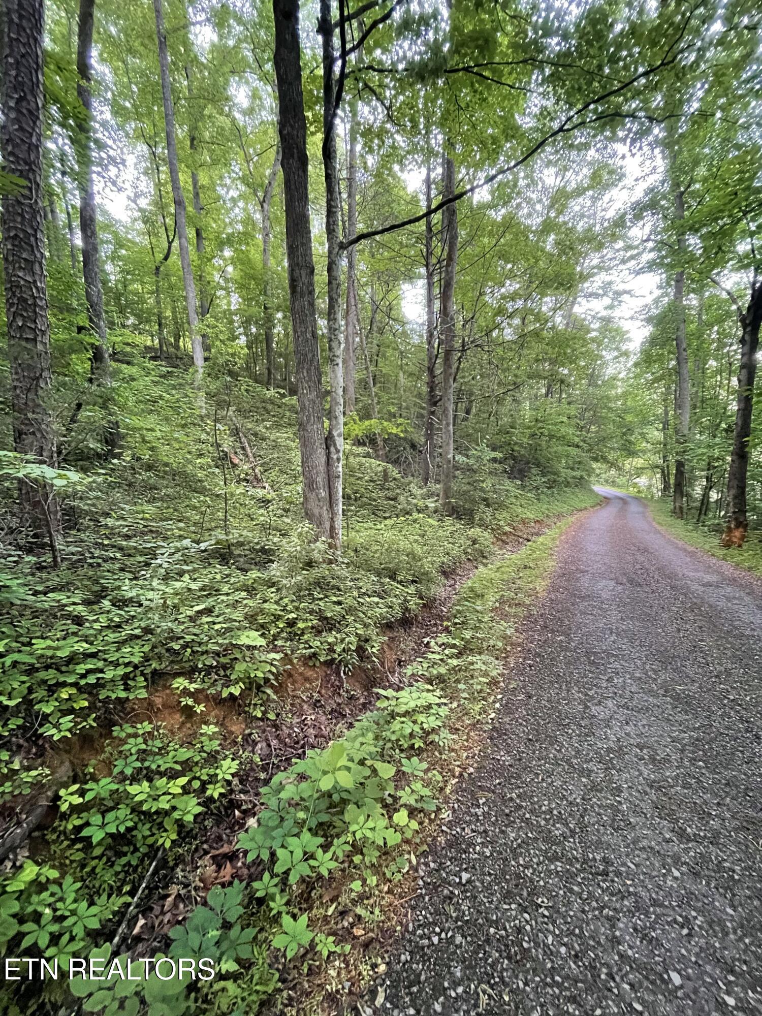 271 Majestic View Way Cosby TN 37722