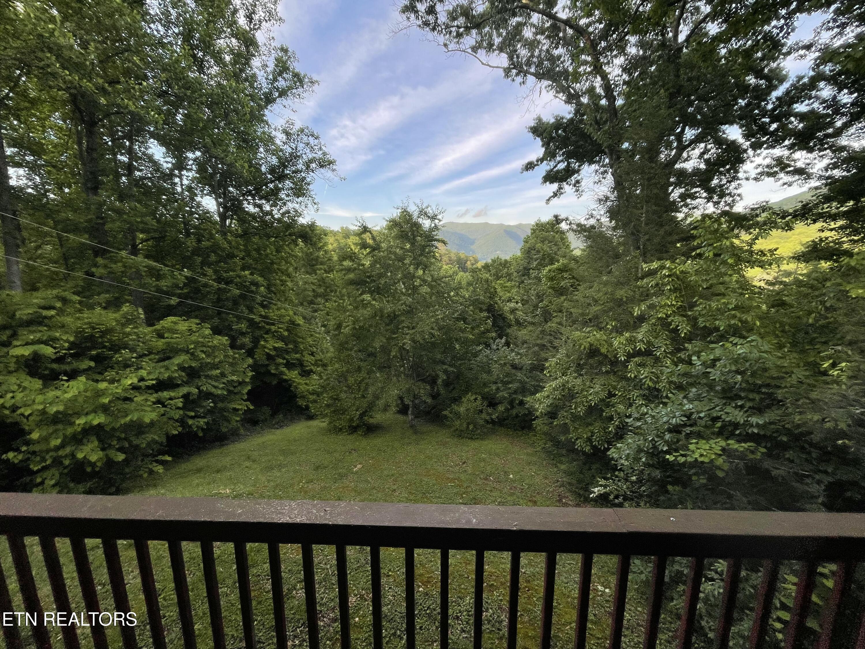271 Majestic View Way Cosby TN 37722