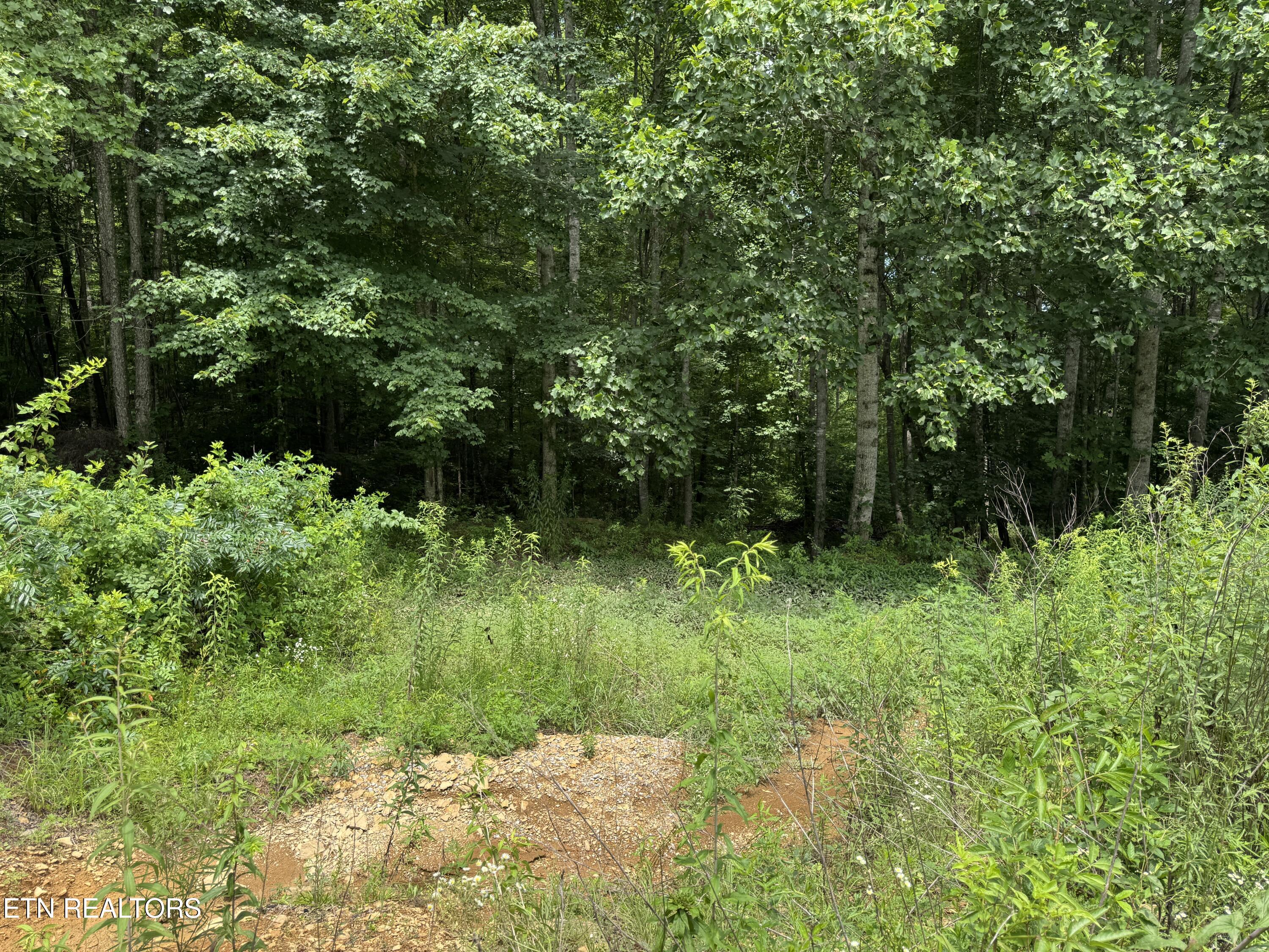 420 Oneida Lane Crawford TN 38554