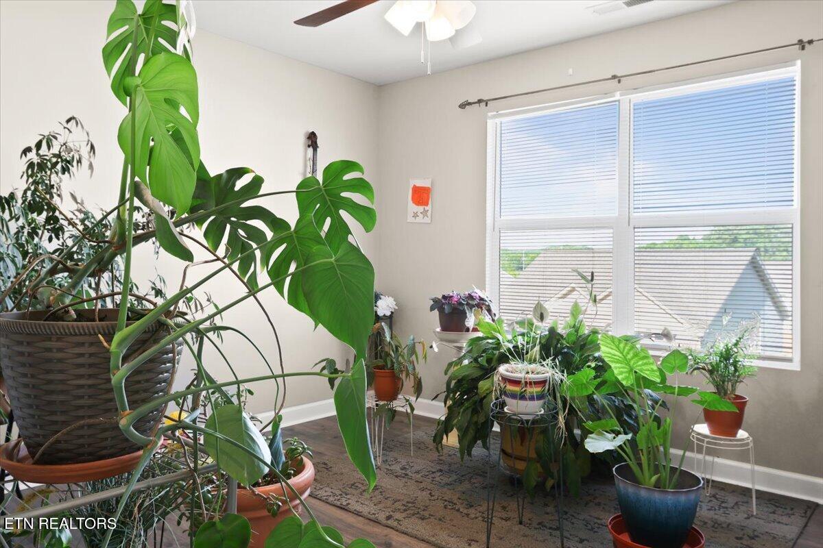 2109 Bluebonnet Drive Mascot TN 37806