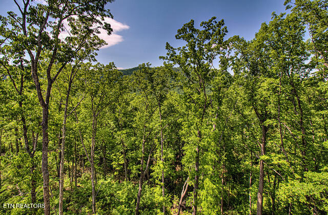 933 Street Of Dreams Way Gatlinburg TN 37738