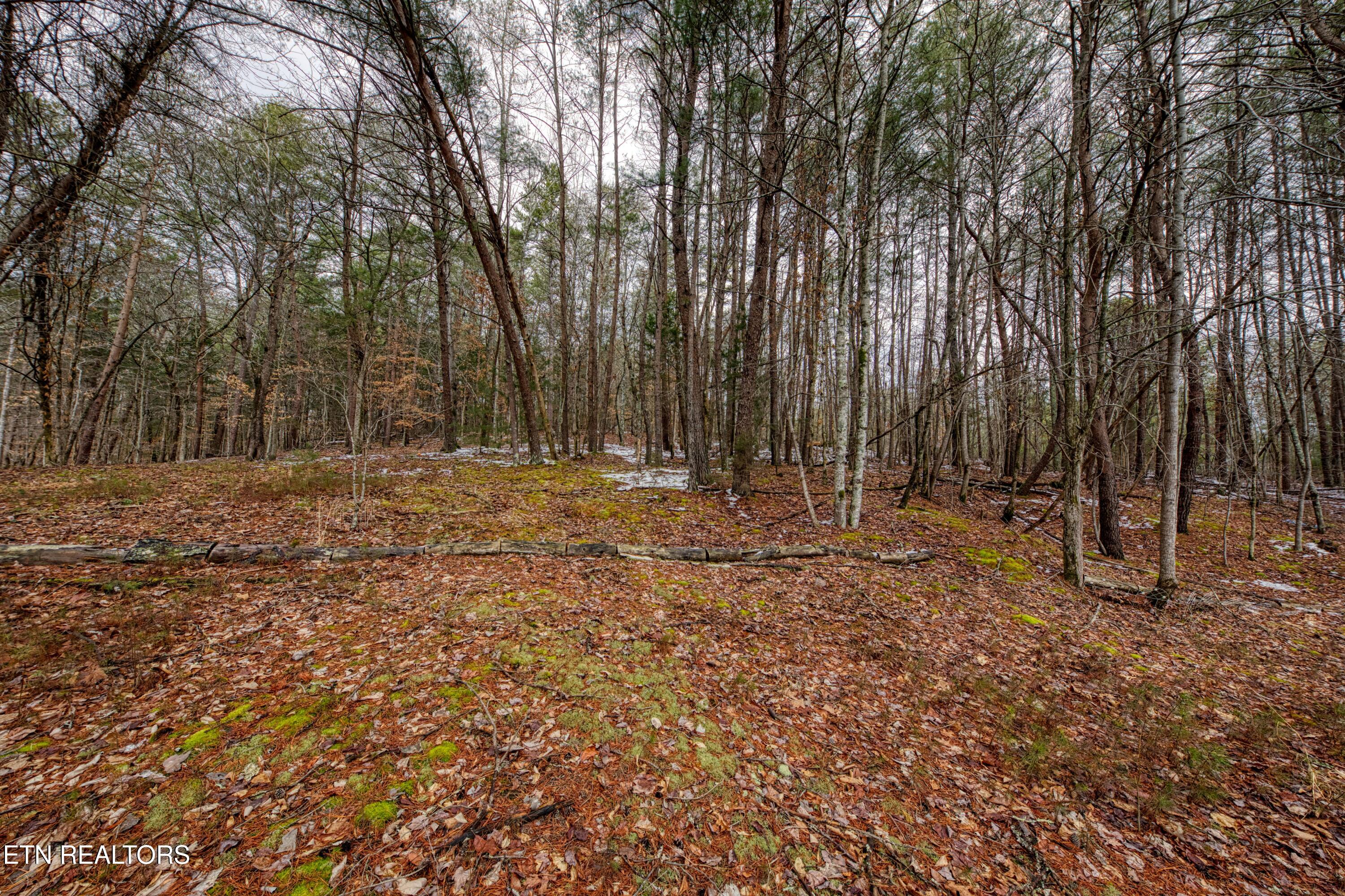 686 Thomas Road Sevierville TN 37876