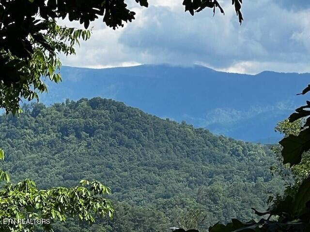 - Chinquapin Drive Sevierville TN 37876