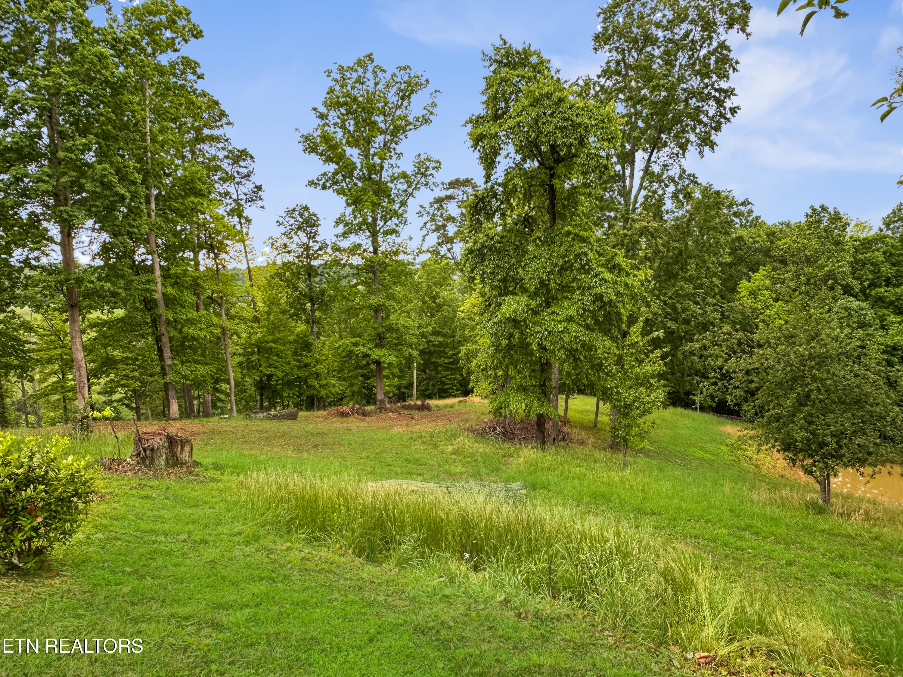 450 Buffalo Lane Tazewell TN 37879