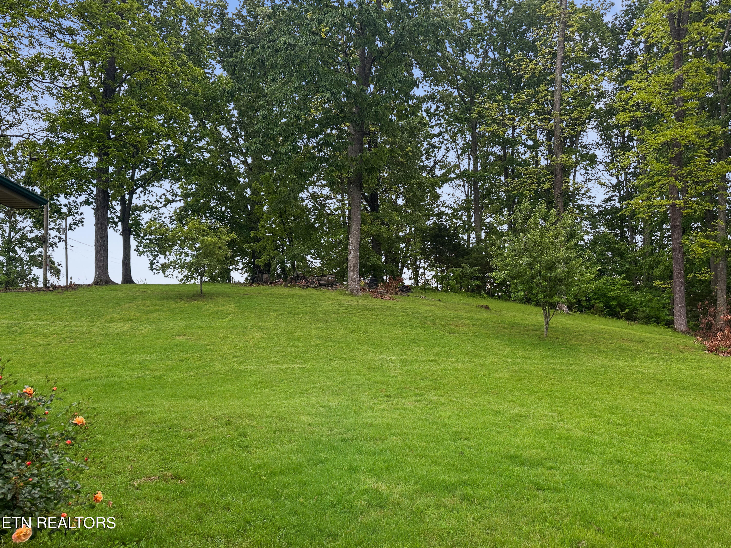 450 Buffalo Lane Tazewell TN 37879