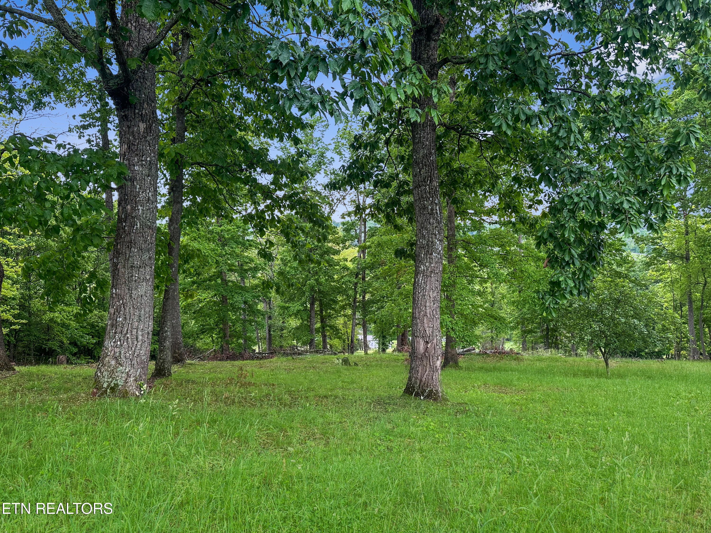 450 Buffalo Lane Tazewell TN 37879