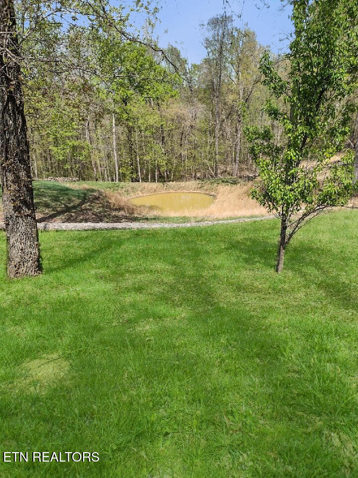 450 Buffalo Lane Tazewell TN 37879