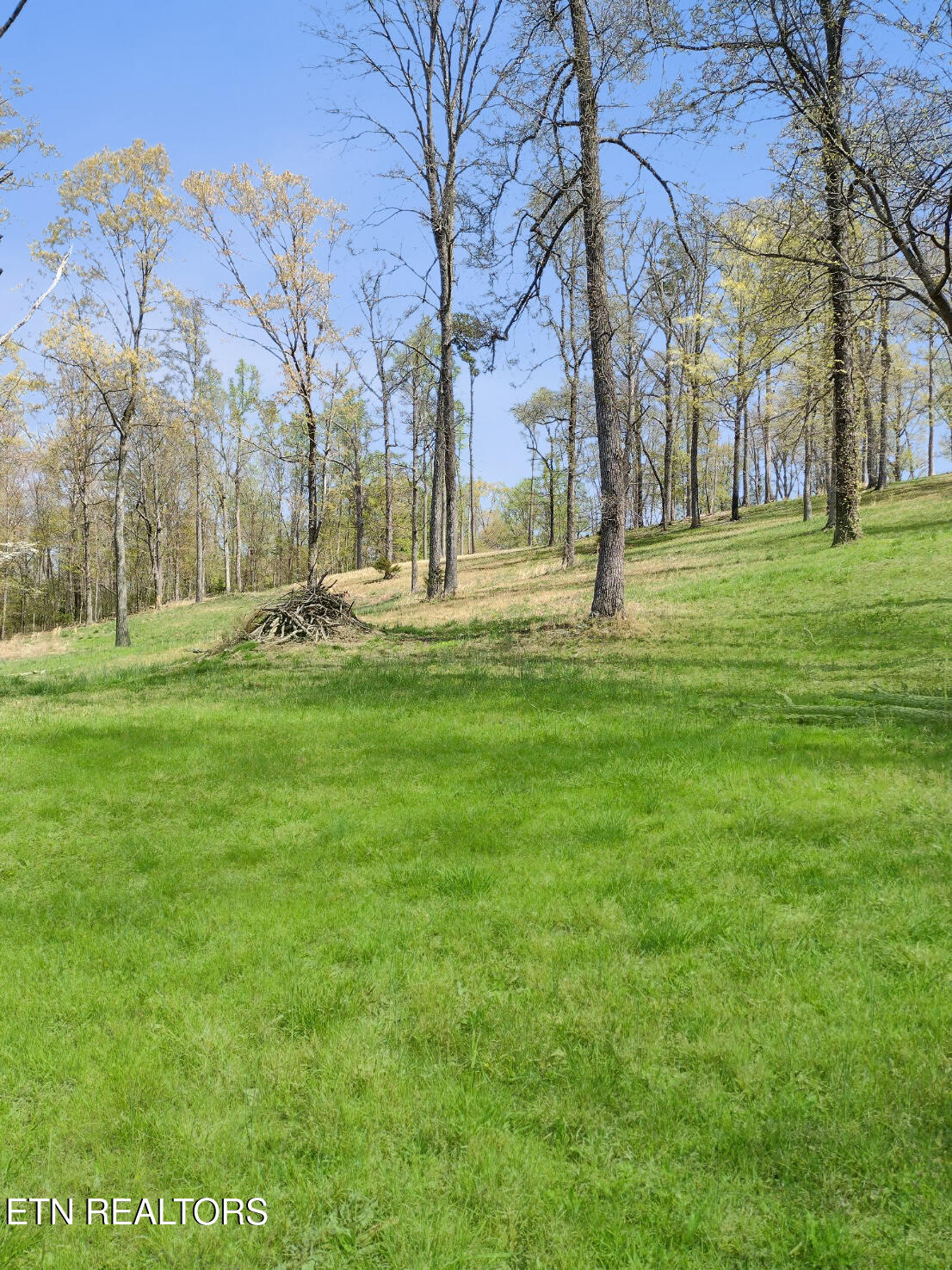 450 Buffalo Lane Tazewell TN 37879