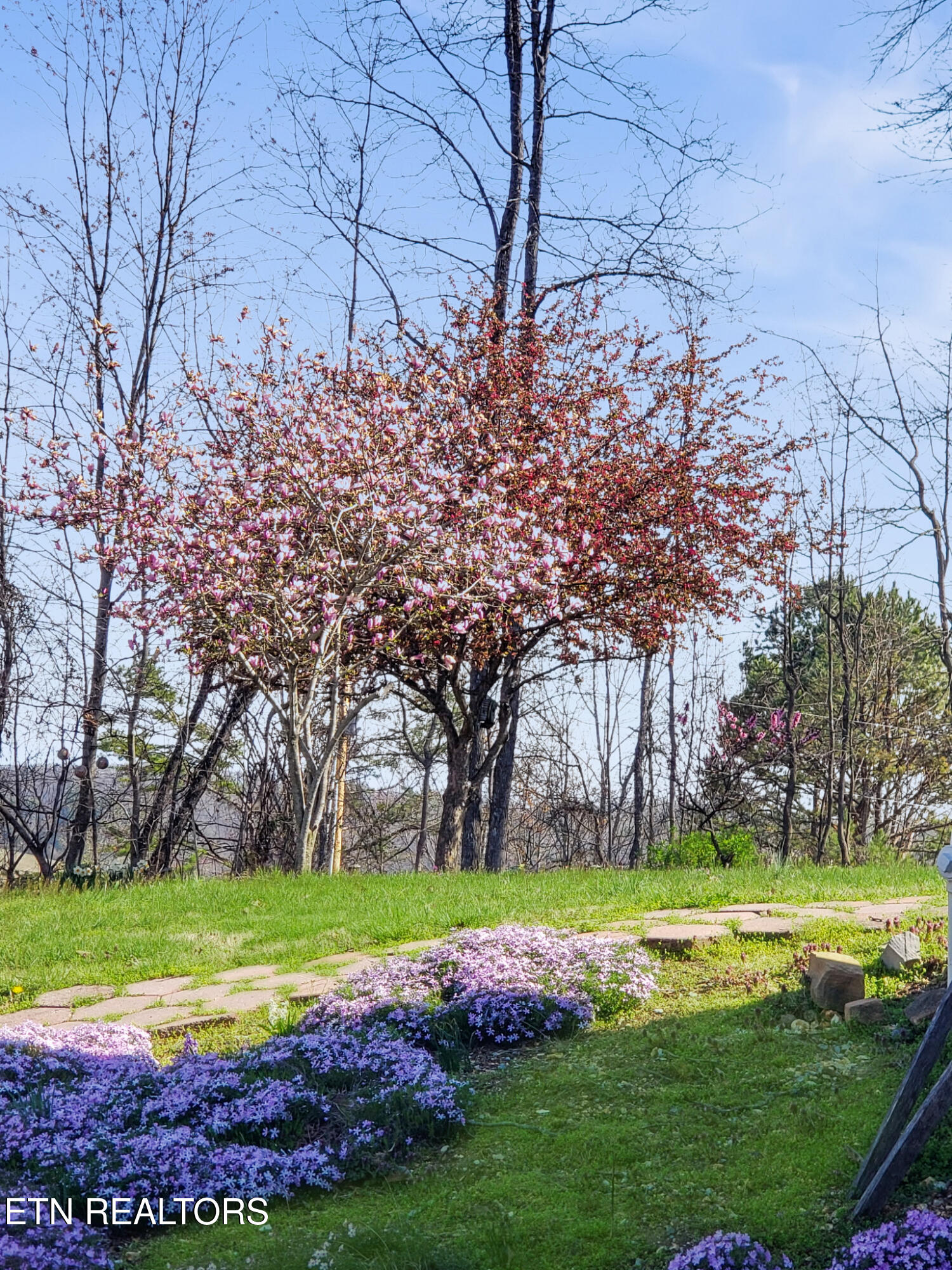 450 Buffalo Lane Tazewell TN 37879