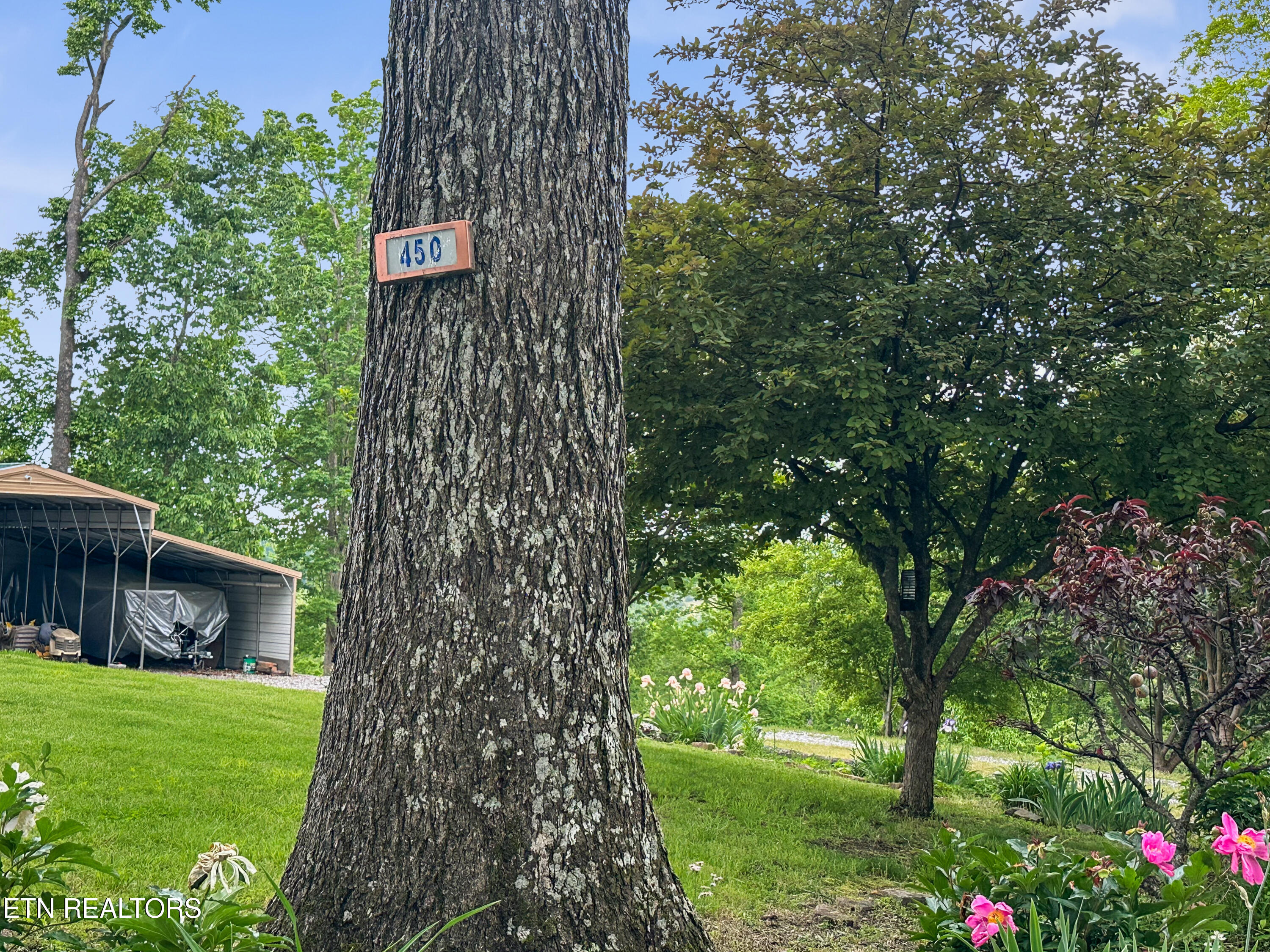 450 Buffalo Lane Tazewell TN 37879