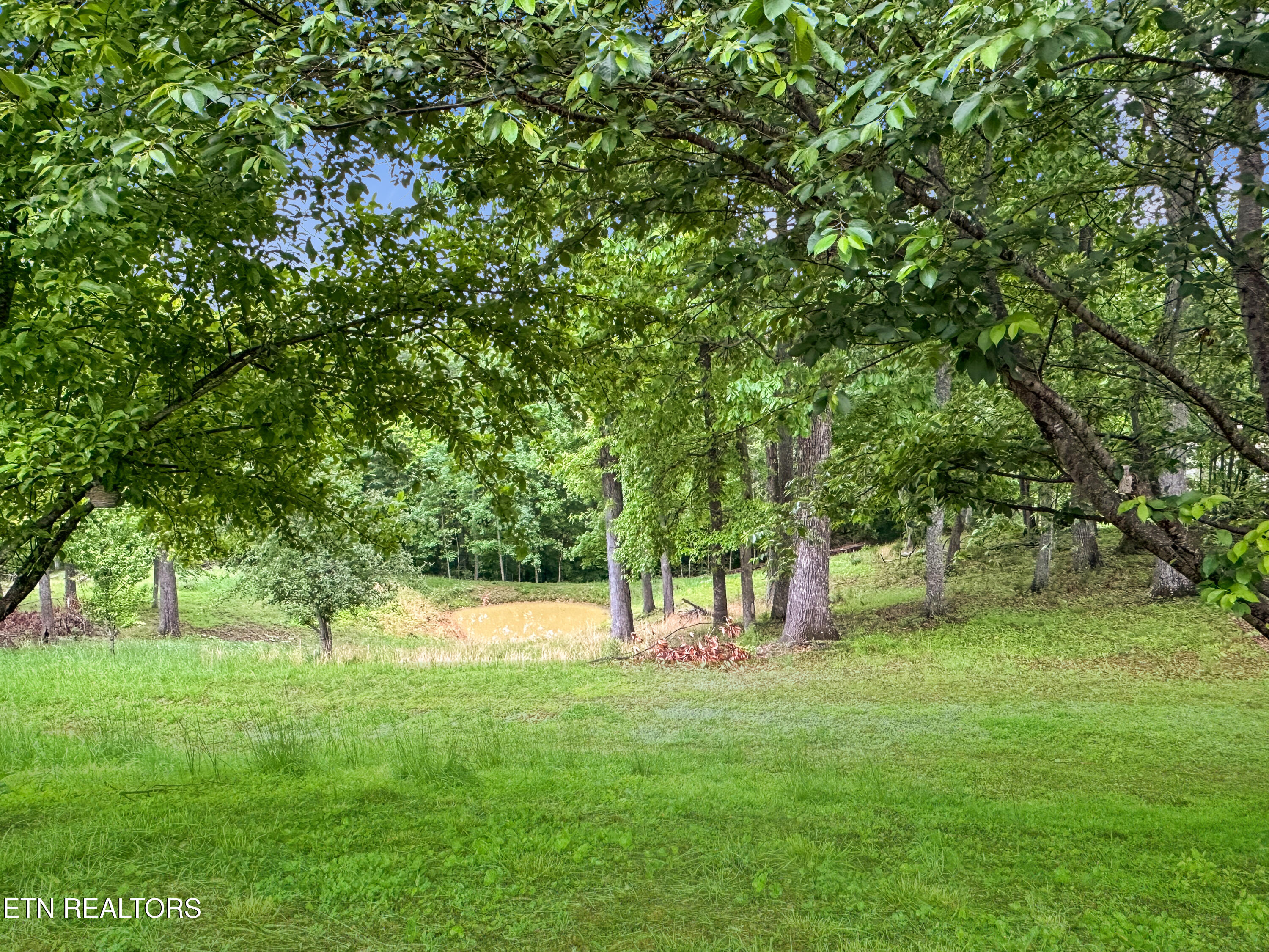 450 Buffalo Lane Tazewell TN 37879