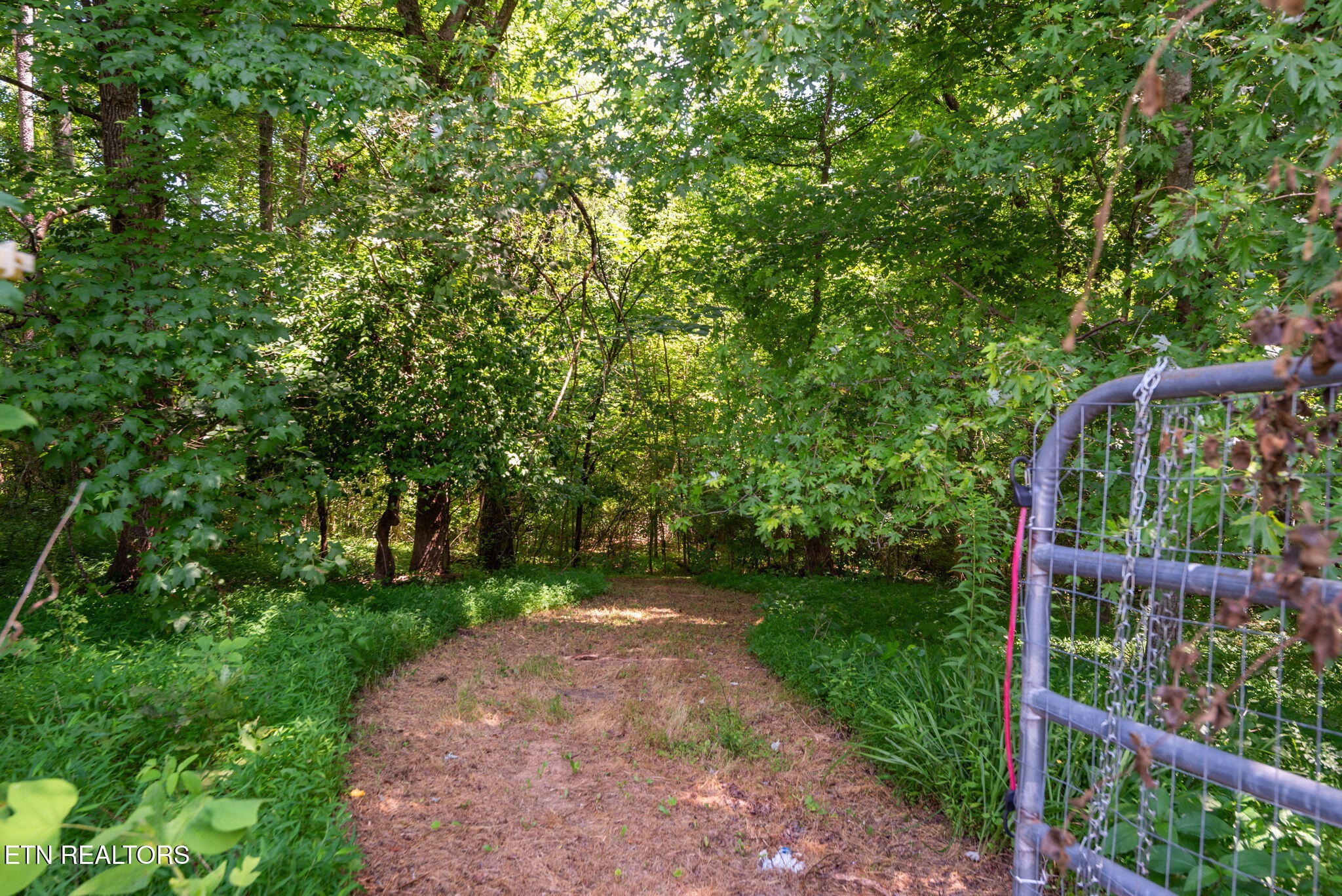 295 Clear Branch Road Corryton TN 37721