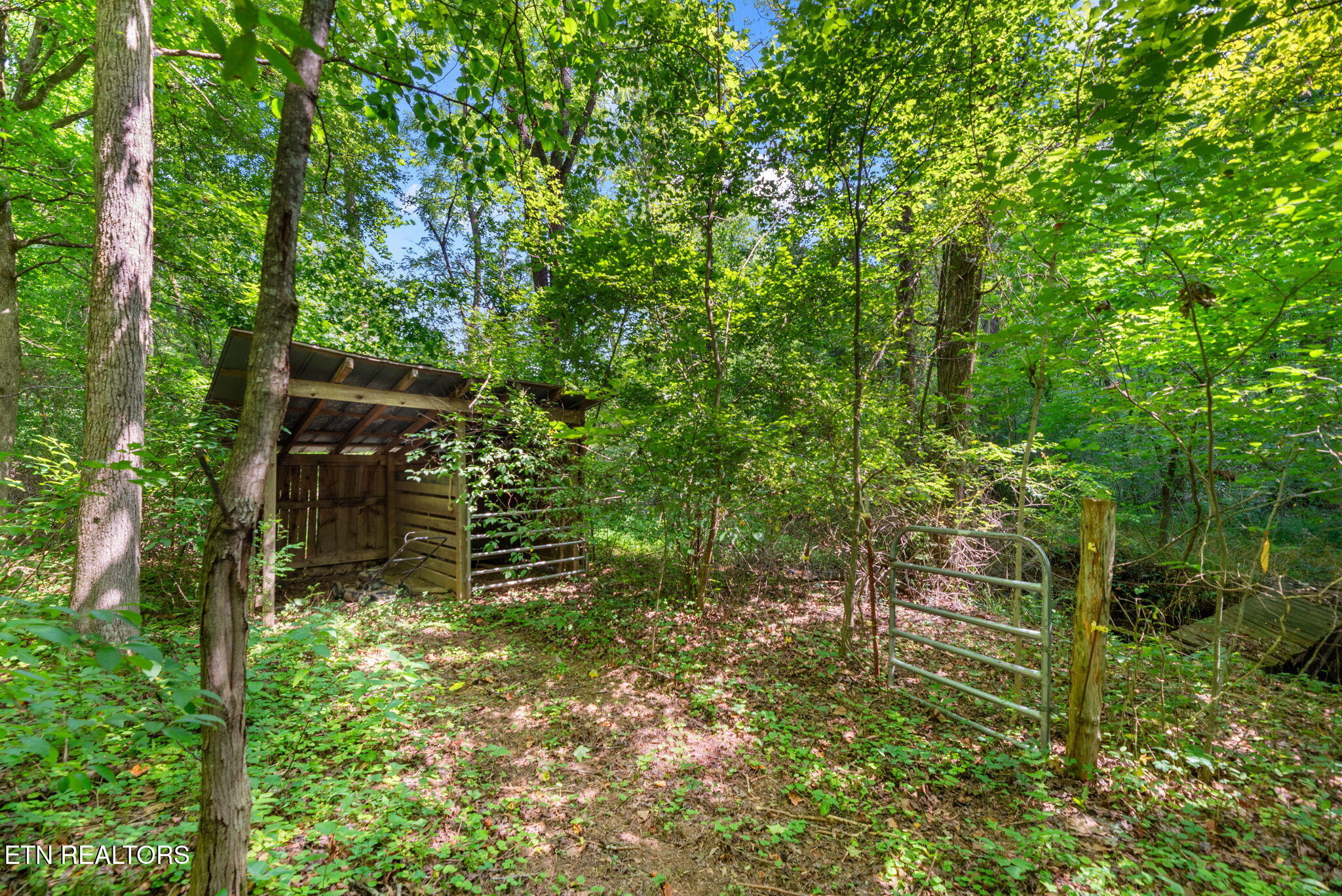 295 Clear Branch Road Corryton TN 37721