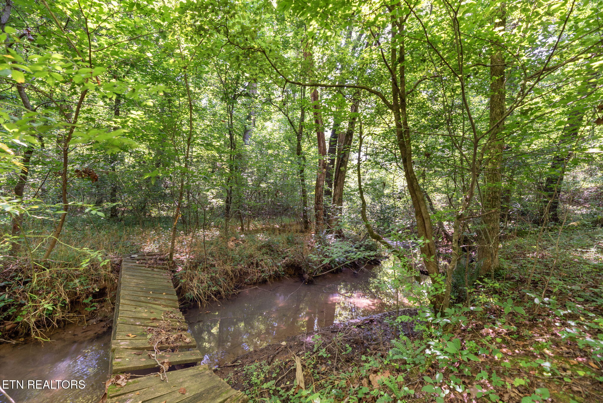 295 Clear Branch Road Corryton TN 37721