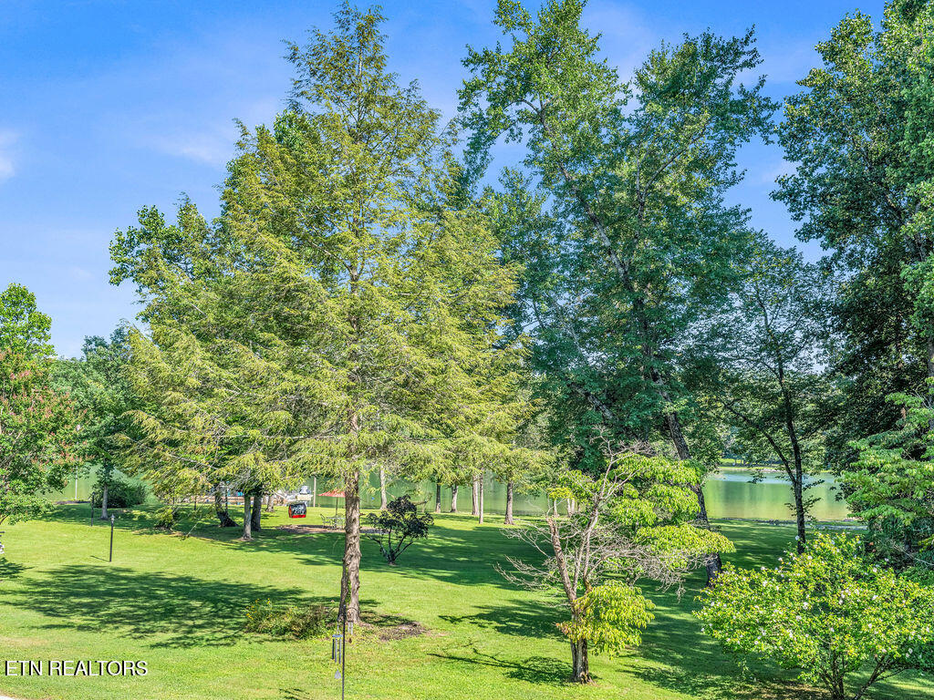 281 Cottage Drive Ten Mile TN 37880