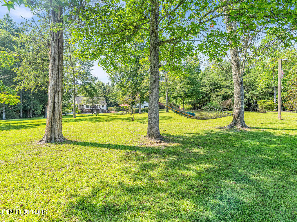 281 Cottage Drive Ten Mile TN 37880