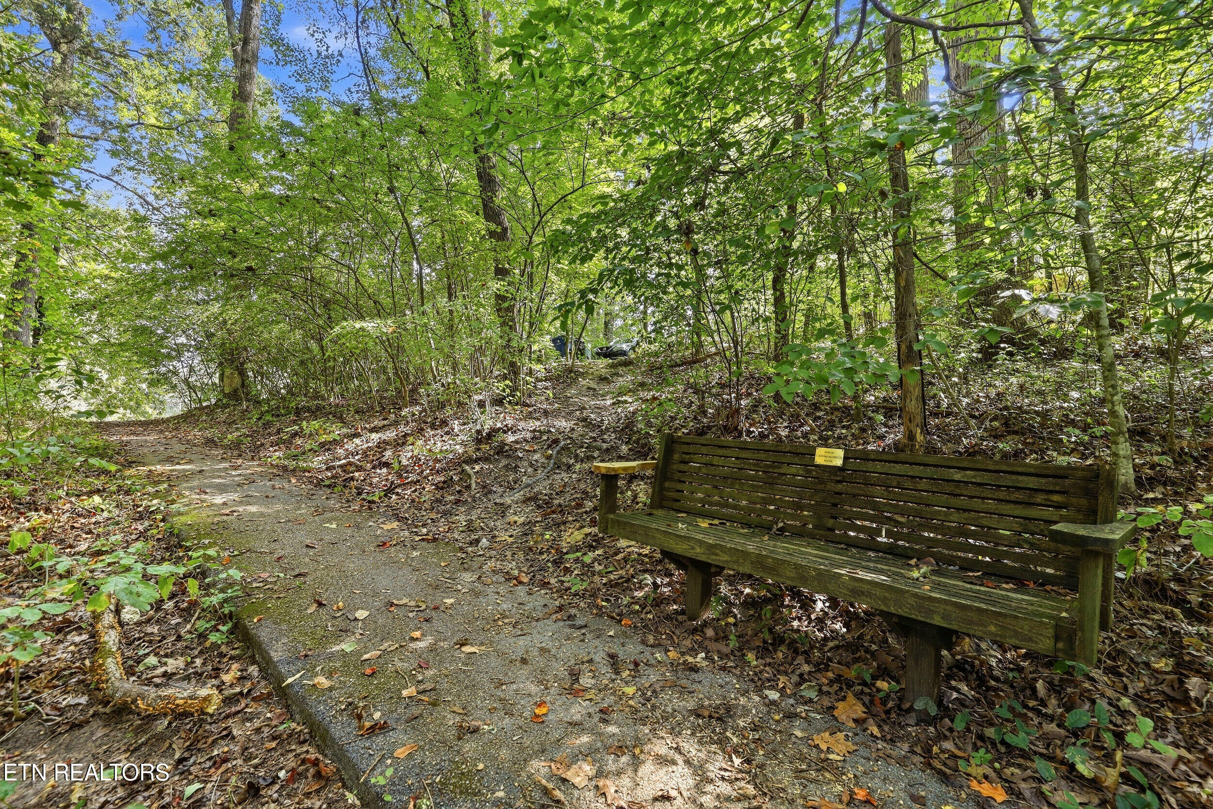 58 Pine Place Norris TN 37828