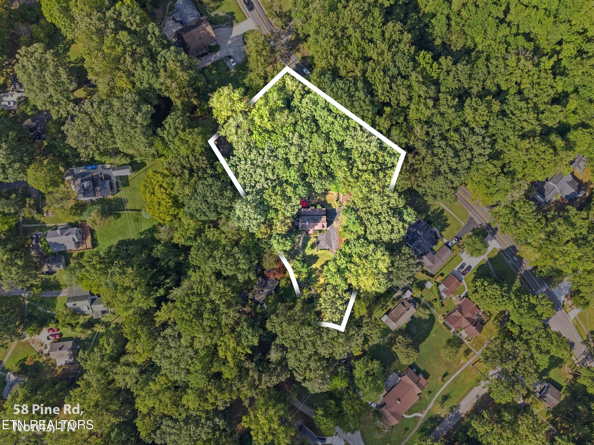 58 Pine Place Norris TN 37828