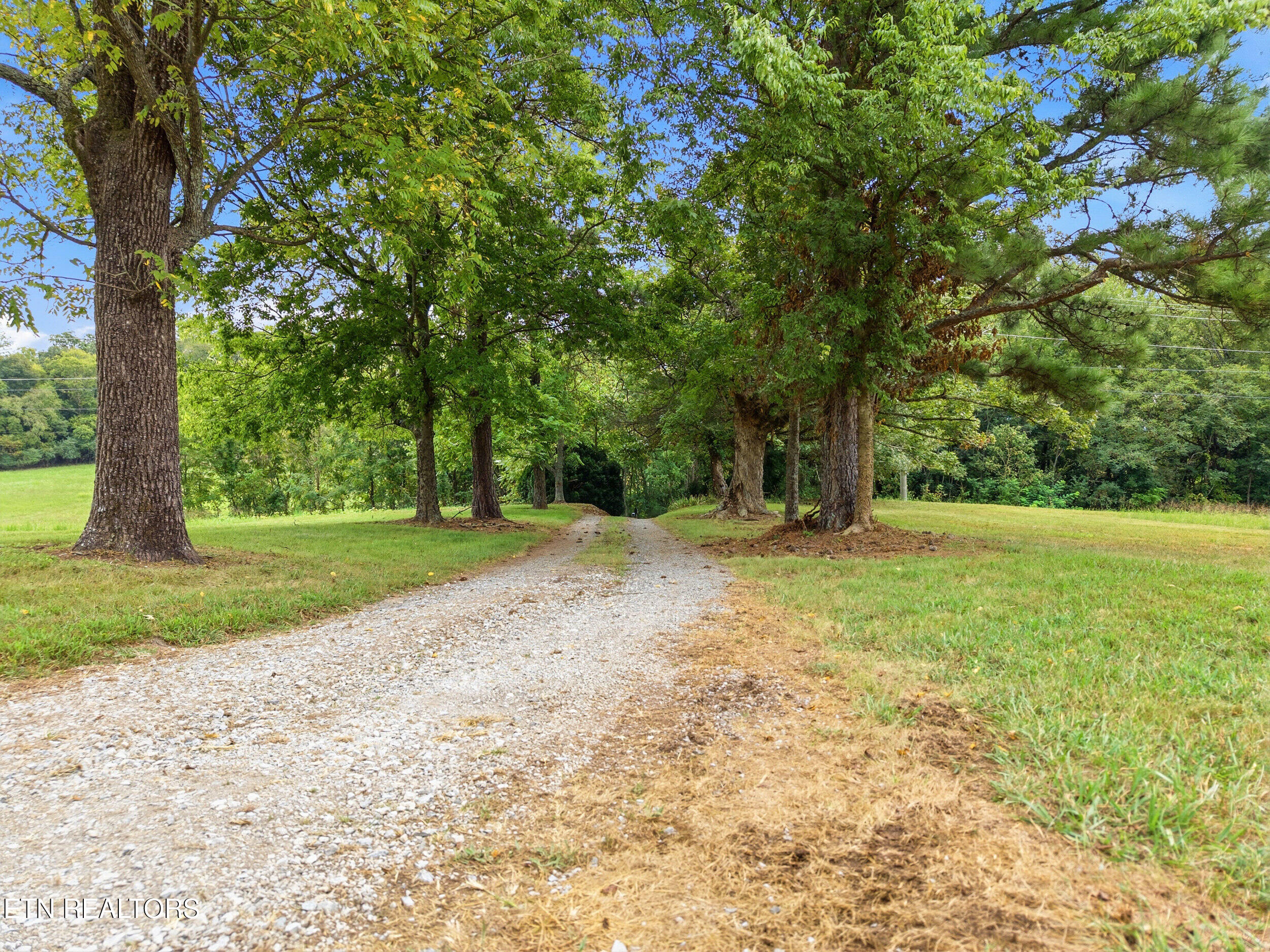 1440 Mccleary Bend Road Sevierville TN 37876